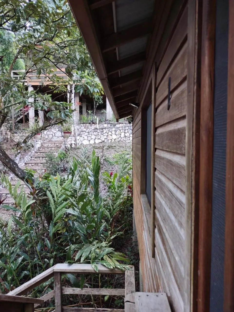 Garden in Santa Cruz Cabins