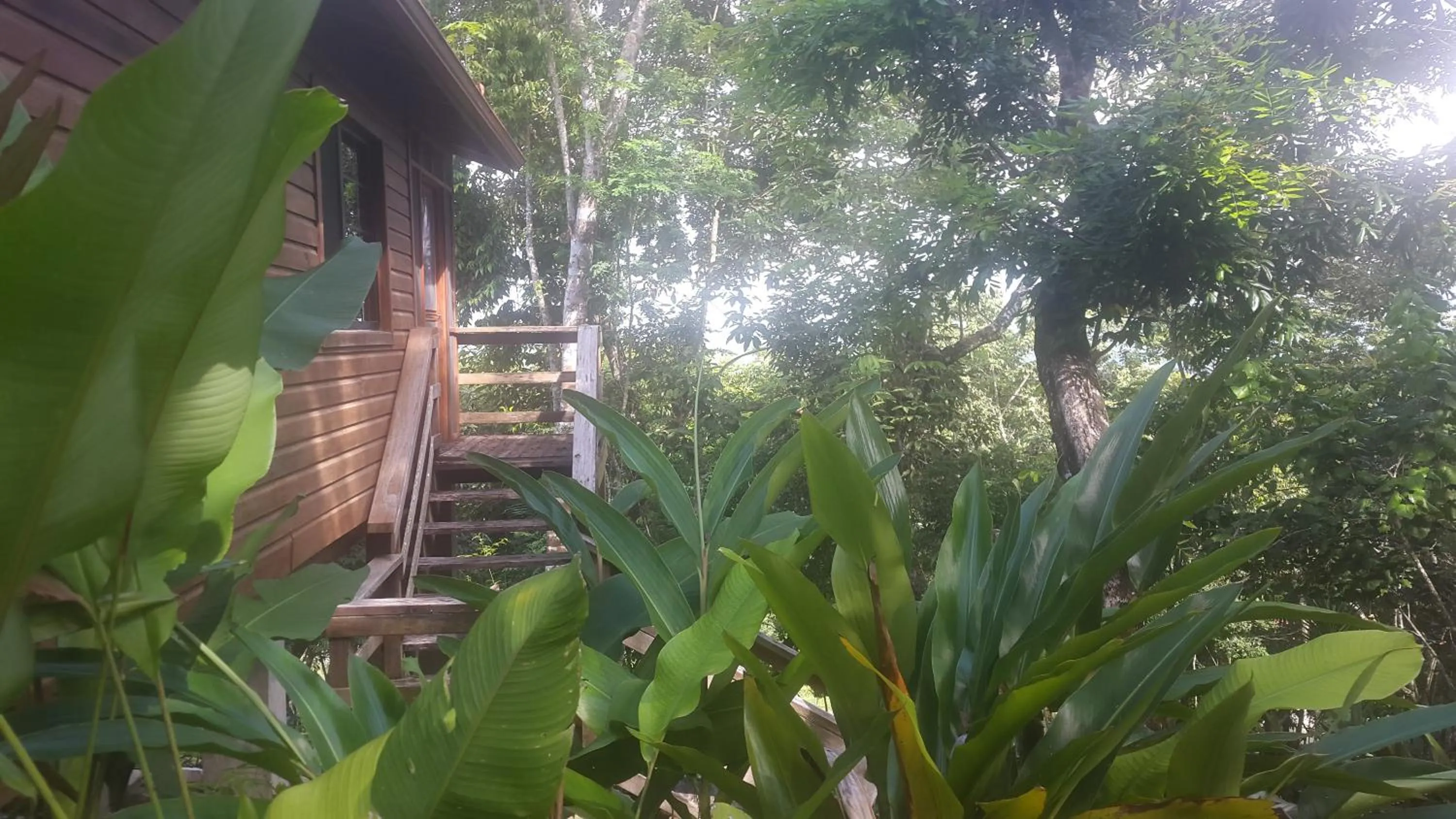 Natural landscape in Santa Cruz Cabins