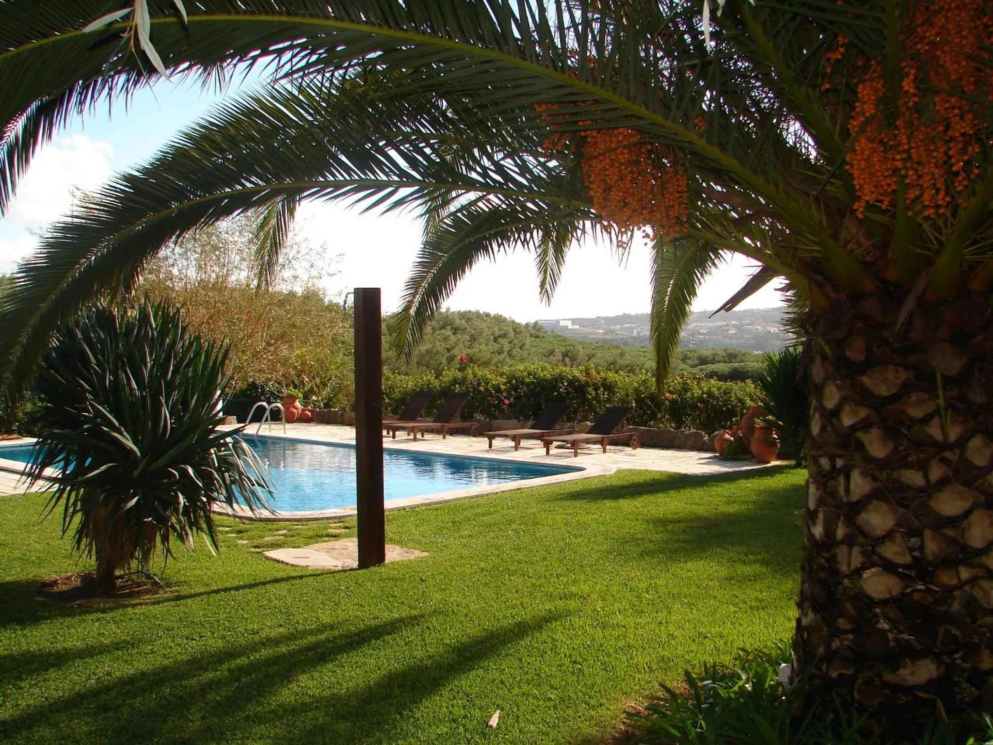 Swimming pool in Quinta Verde Sintra - Casa de Campo