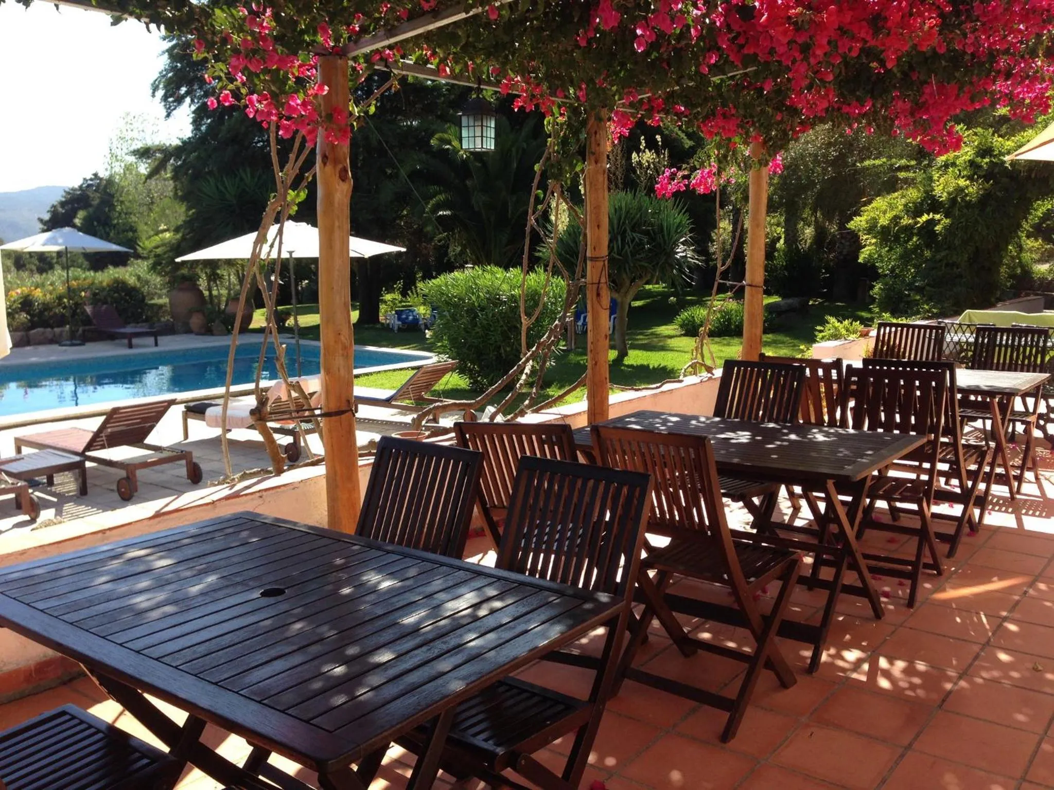 Patio in Quinta Verde Sintra - Casa de Campo