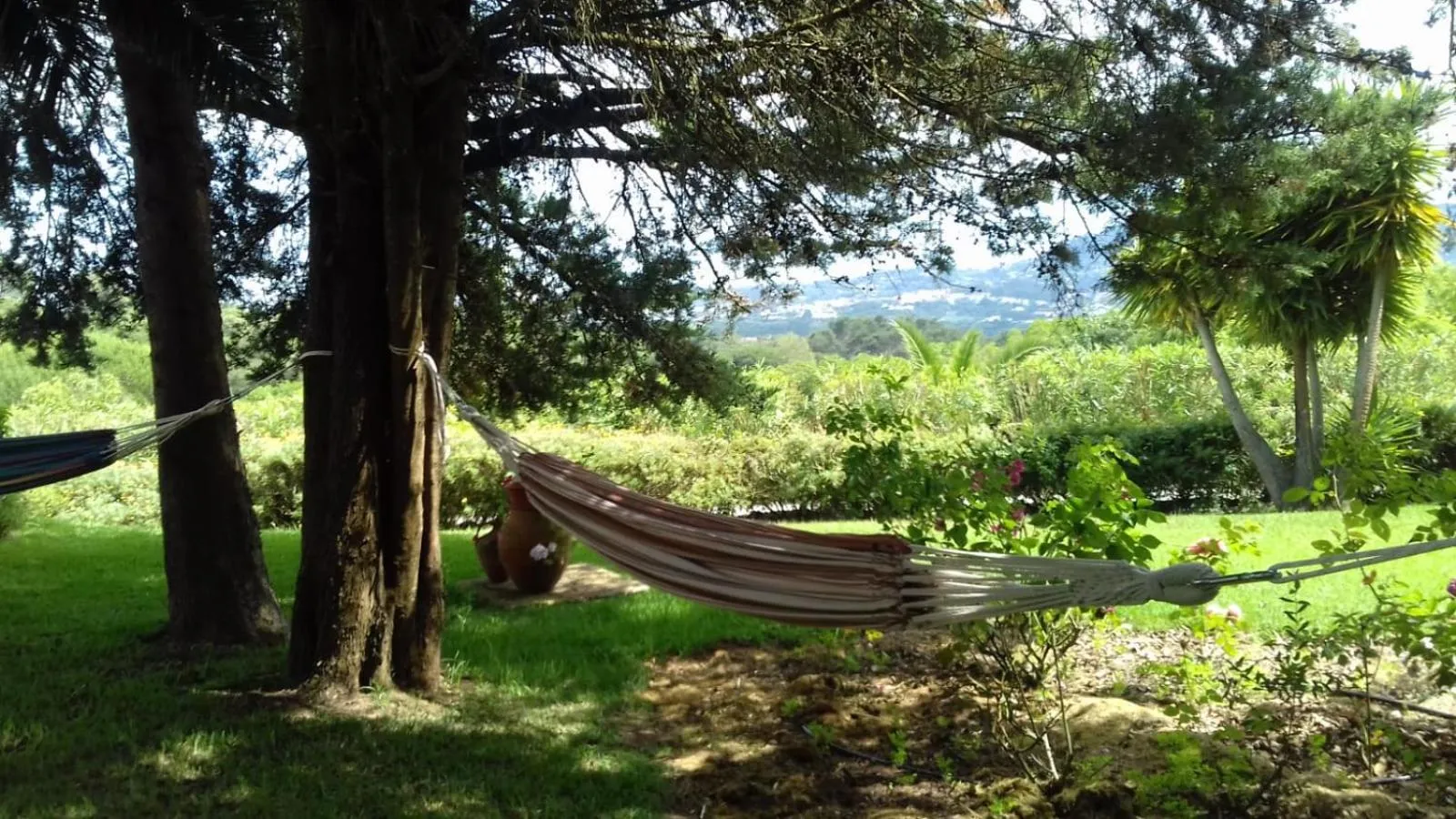 Area and facilities in Quinta Verde Sintra - Casa de Campo