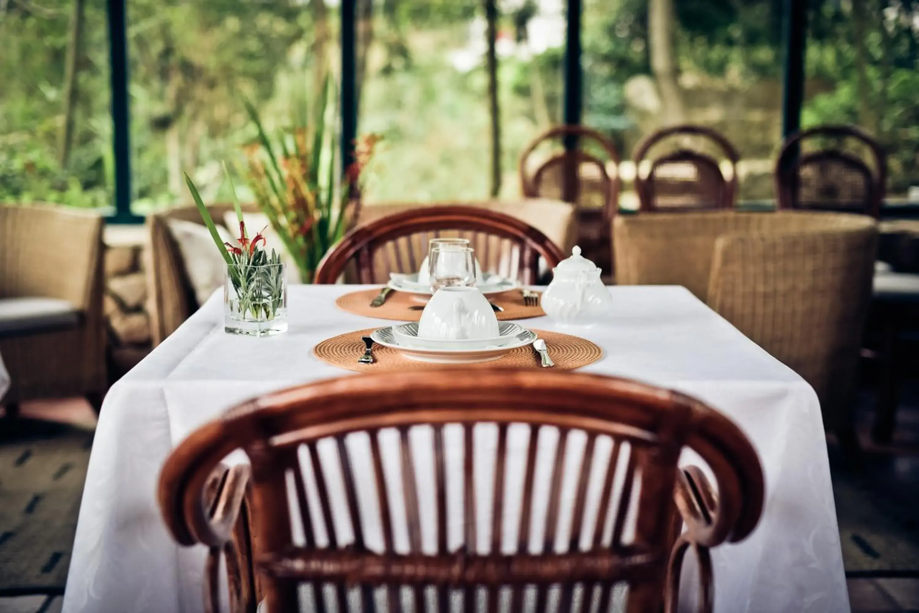 Food and drinks in Quinta Verde Sintra - Casa de Campo Food and drinks in Quinta Verde Sintra - Casa de Campo