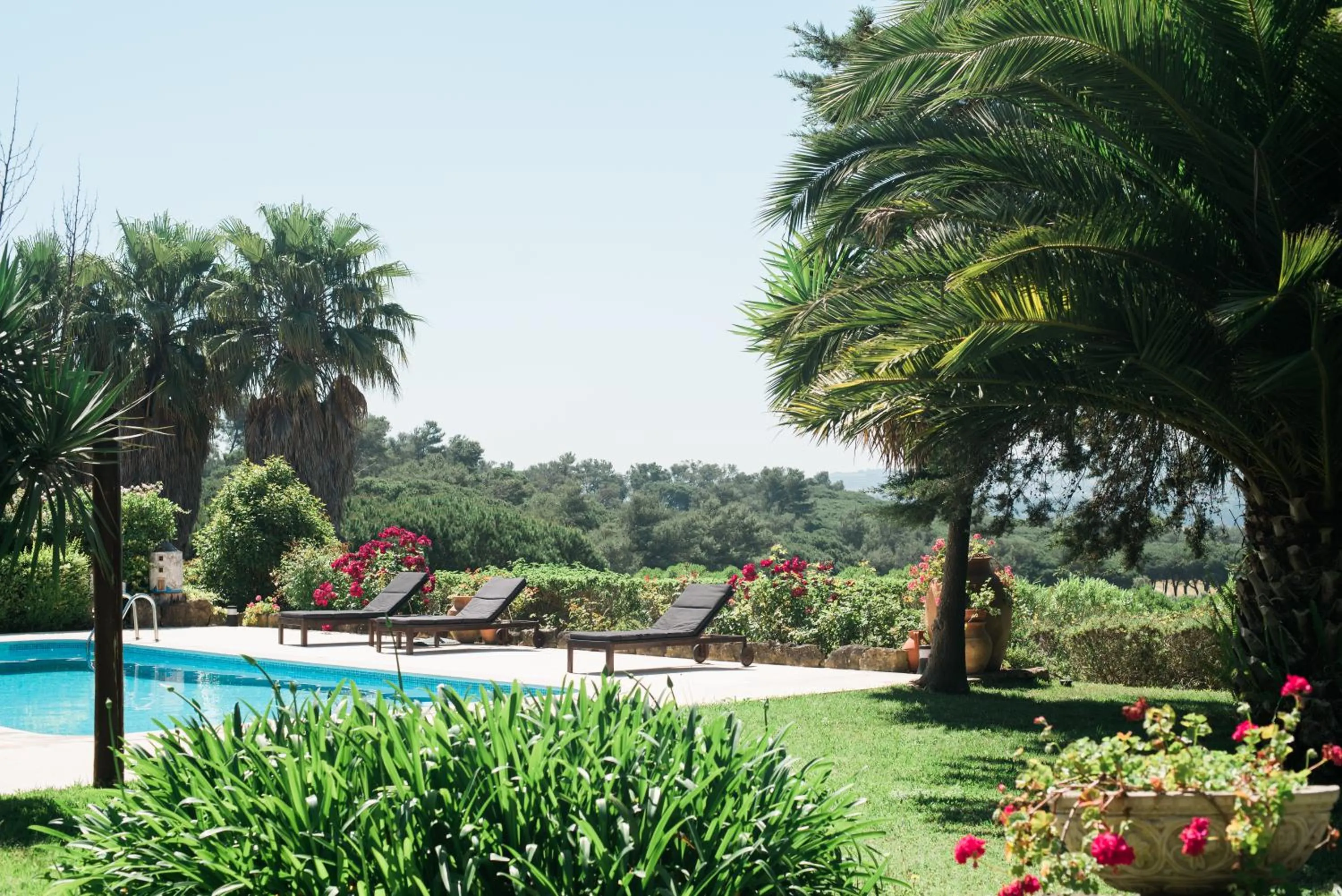 Garden view in Quinta Verde Sintra - Casa de Campo
