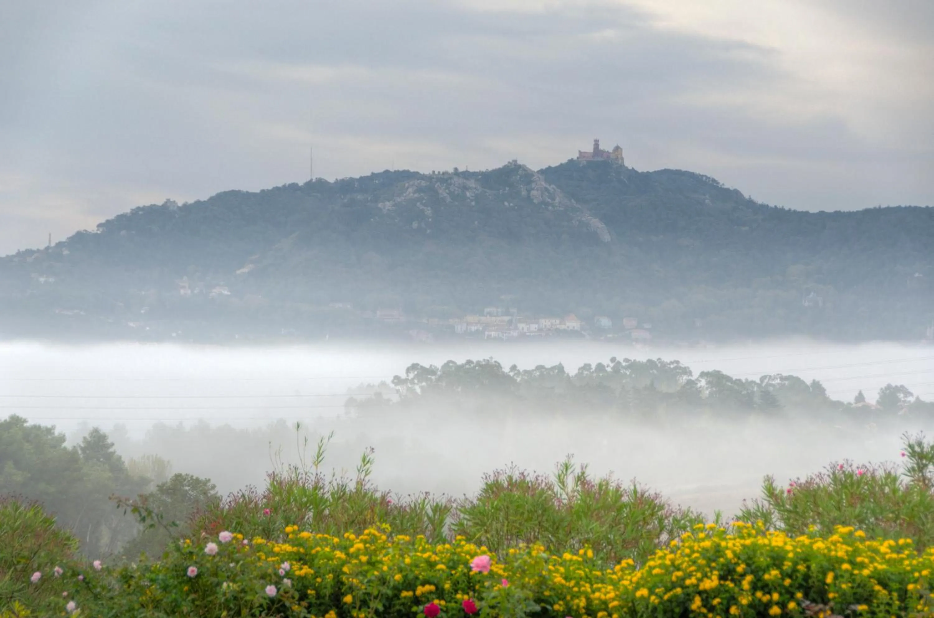 Natural landscape in Quinta Verde Sintra - Casa de Campo