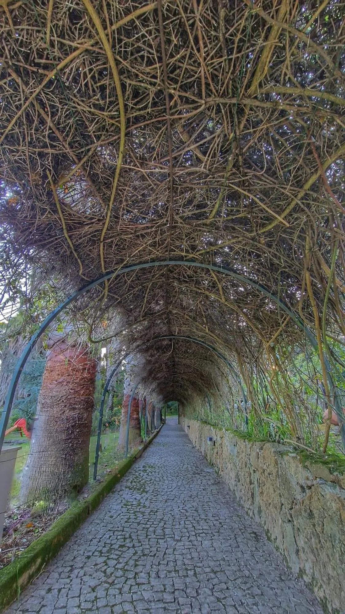 Garden in Quinta Verde Sintra - Casa de Campo
