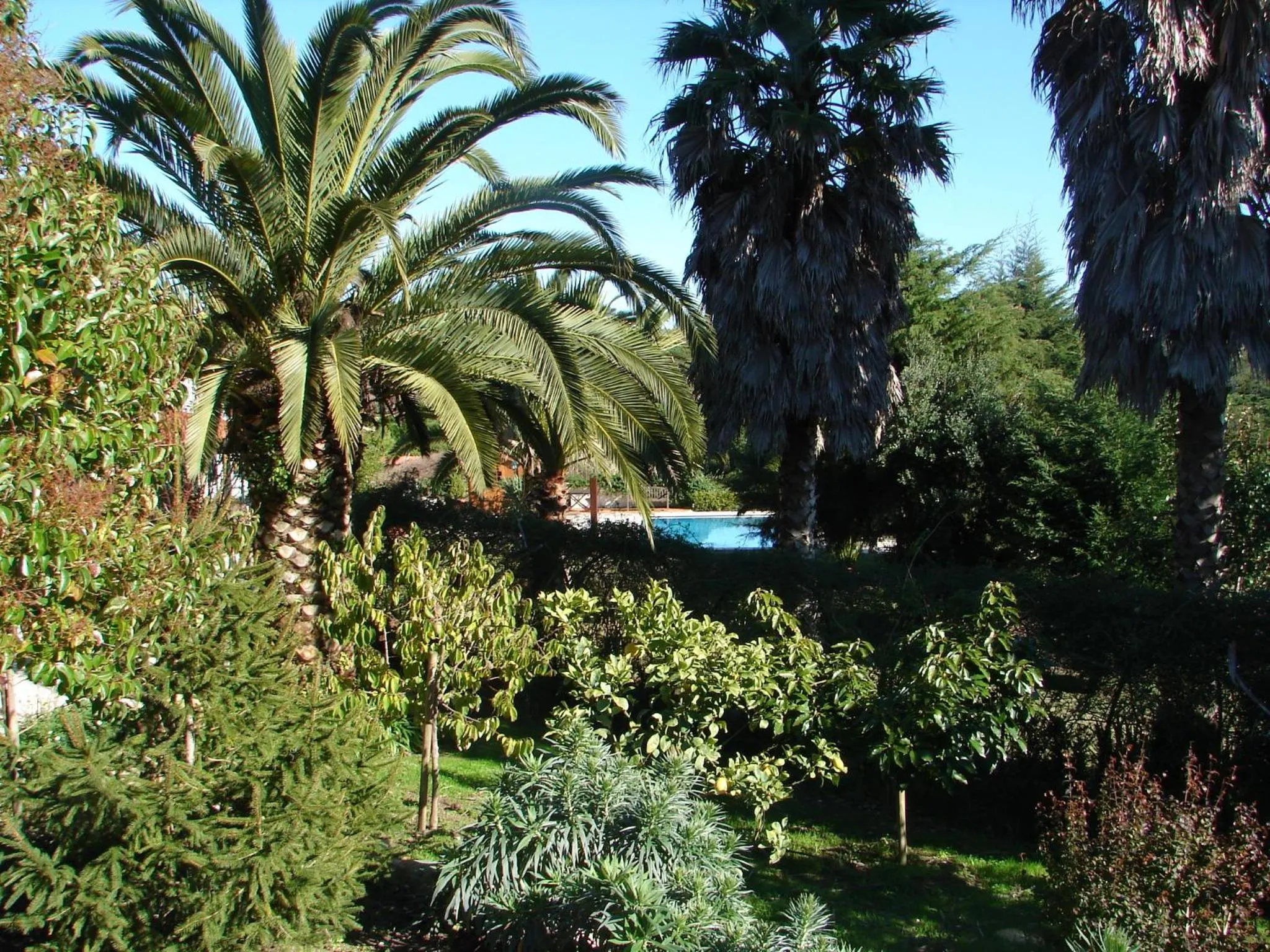 Garden in Quinta Verde Sintra - Casa de Campo