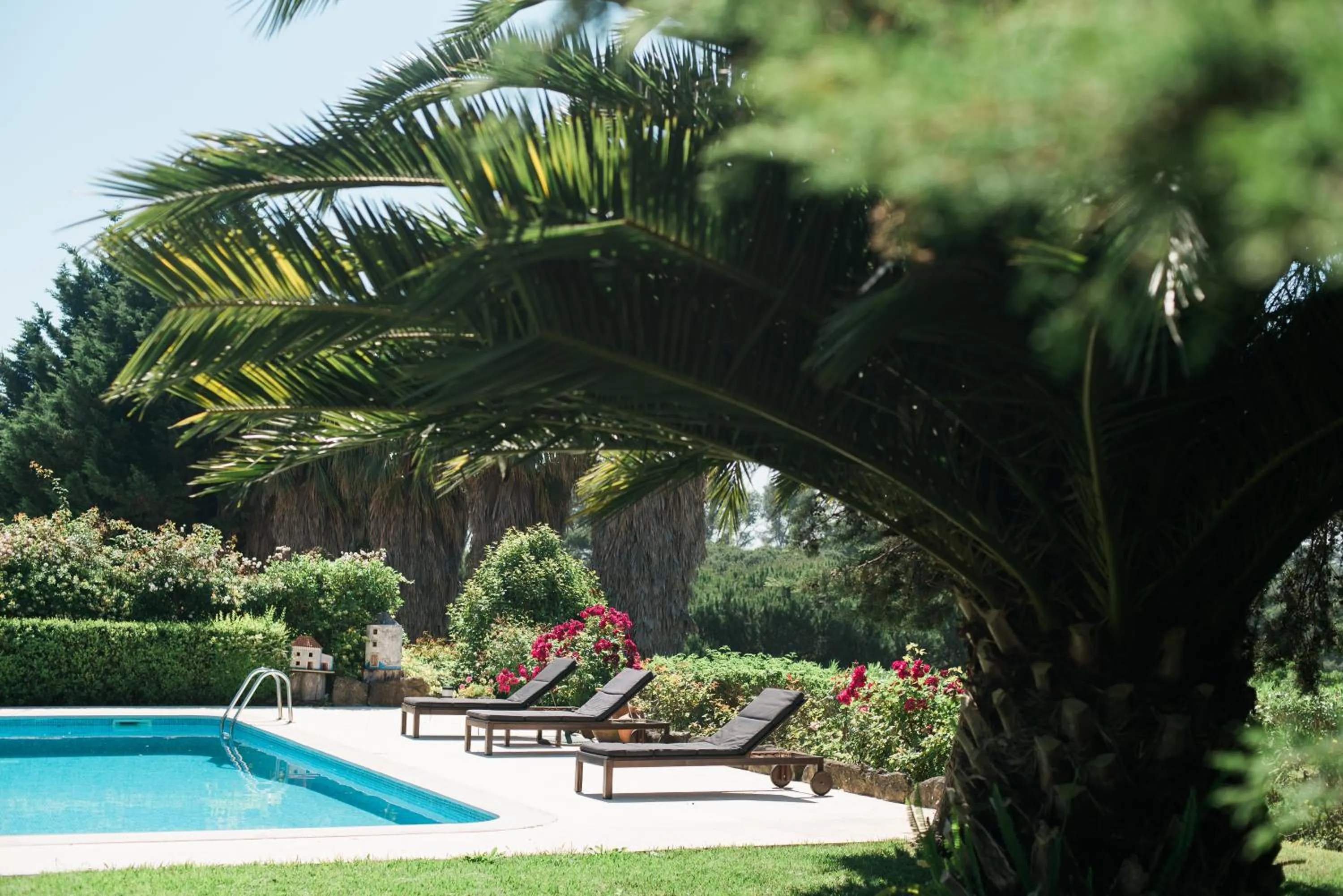 Pool view in Quinta Verde Sintra - Casa de Campo