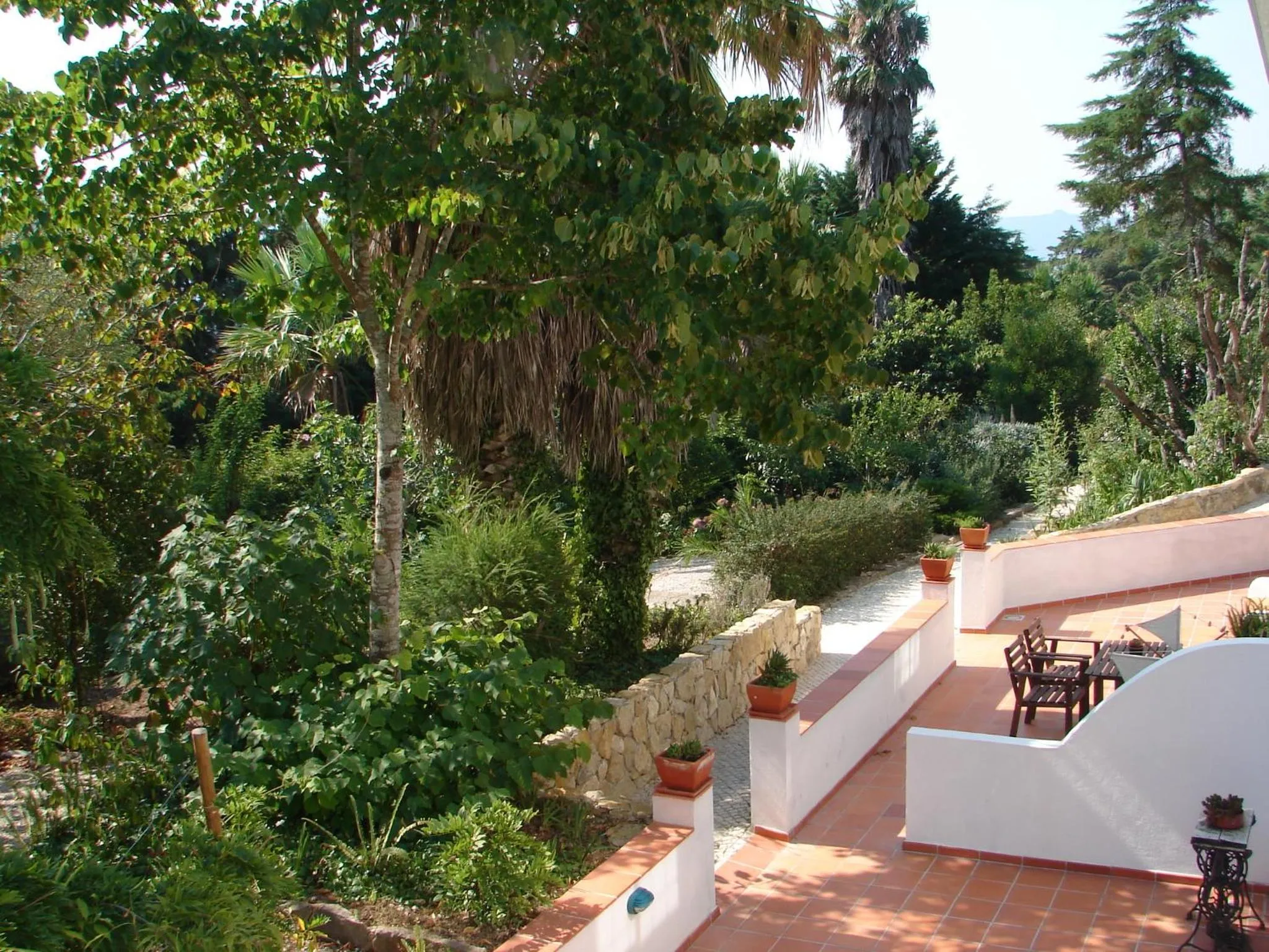 Patio in Quinta Verde Sintra - Casa de Campo
