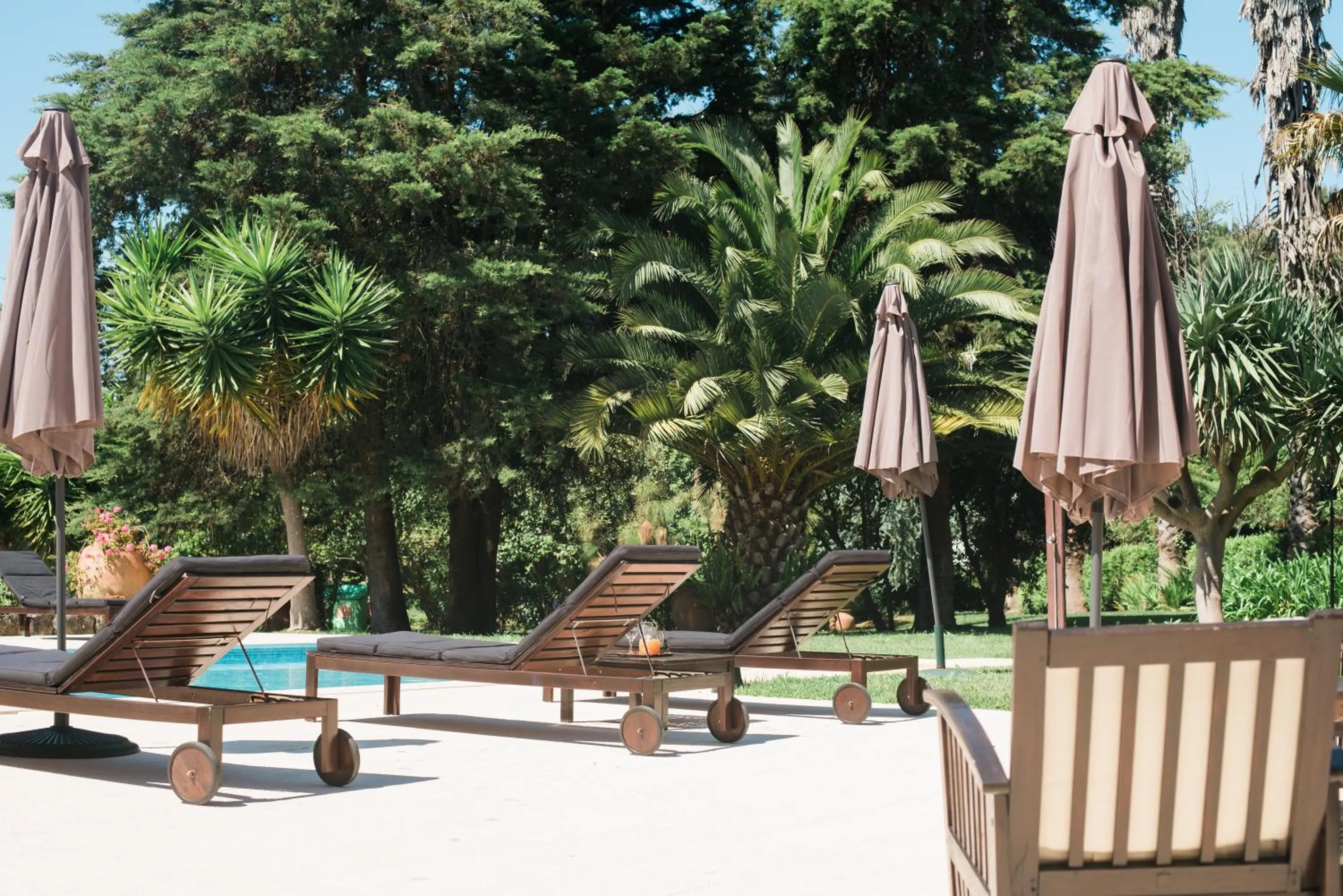 Patio in Quinta Verde Sintra - Casa de Campo