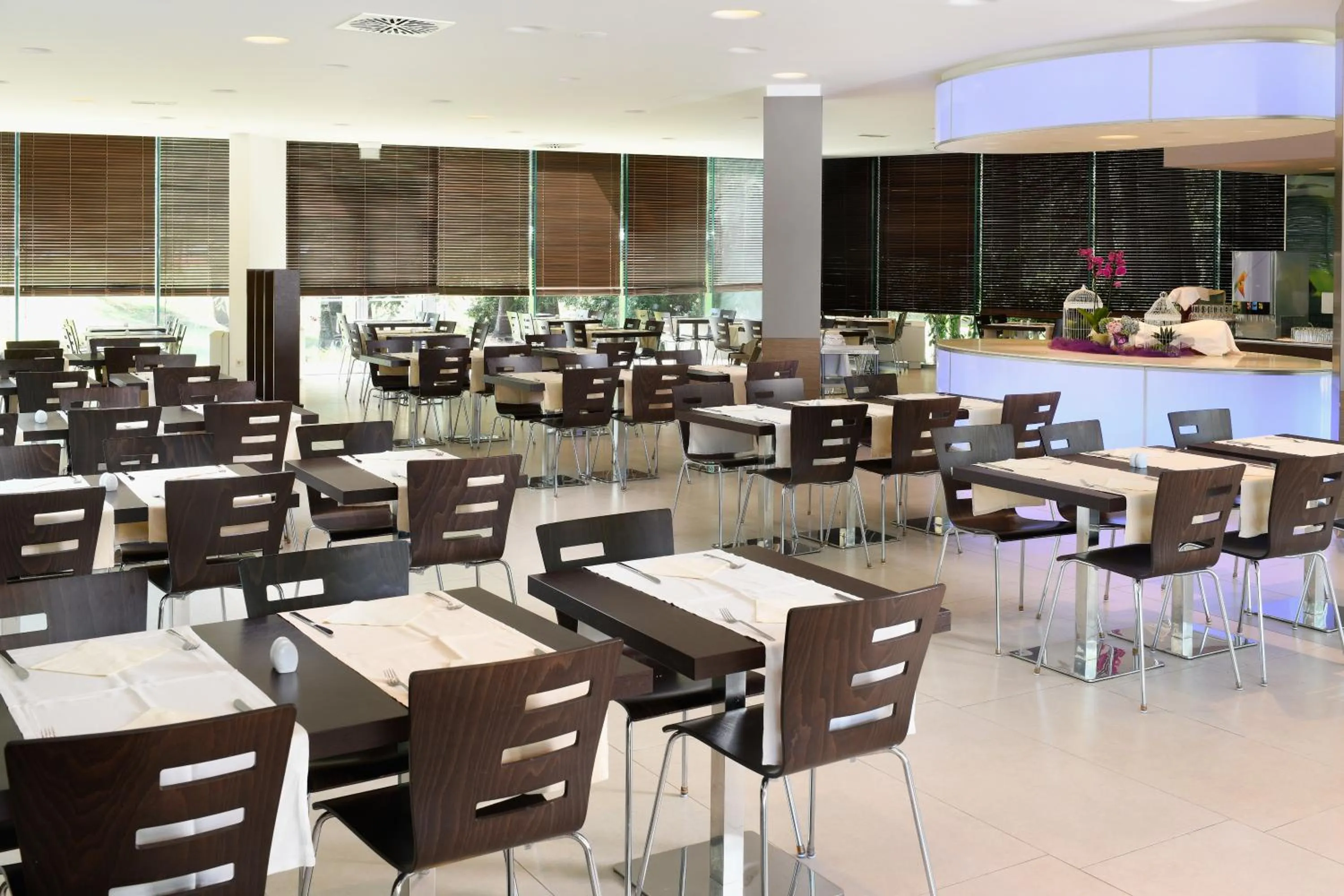 Restaurant/places to eat in Apartments Bellevue Plava Laguna