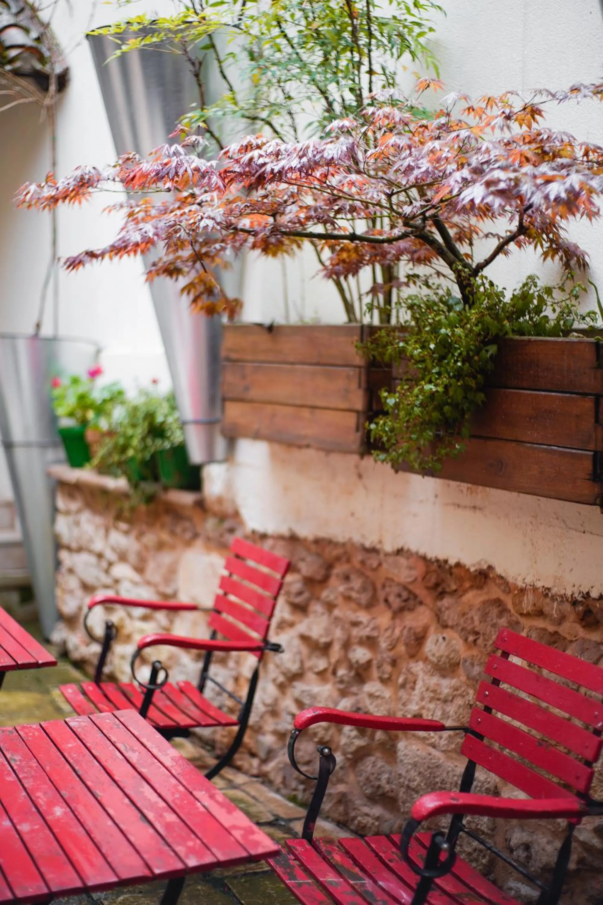 Patio in Hotel Rural El Zaguán