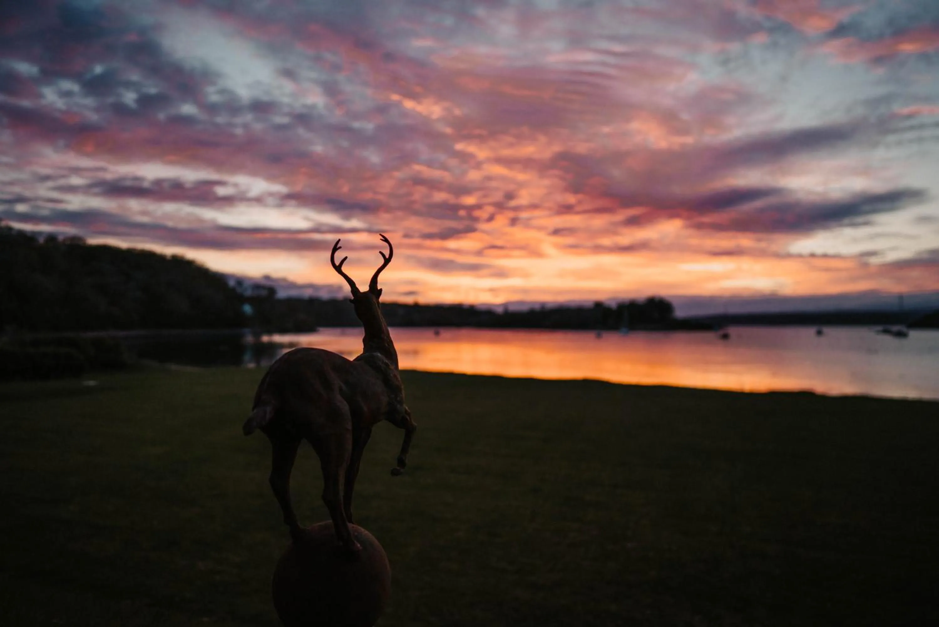 Natural landscape in Shieldaig Lodge Hotel
