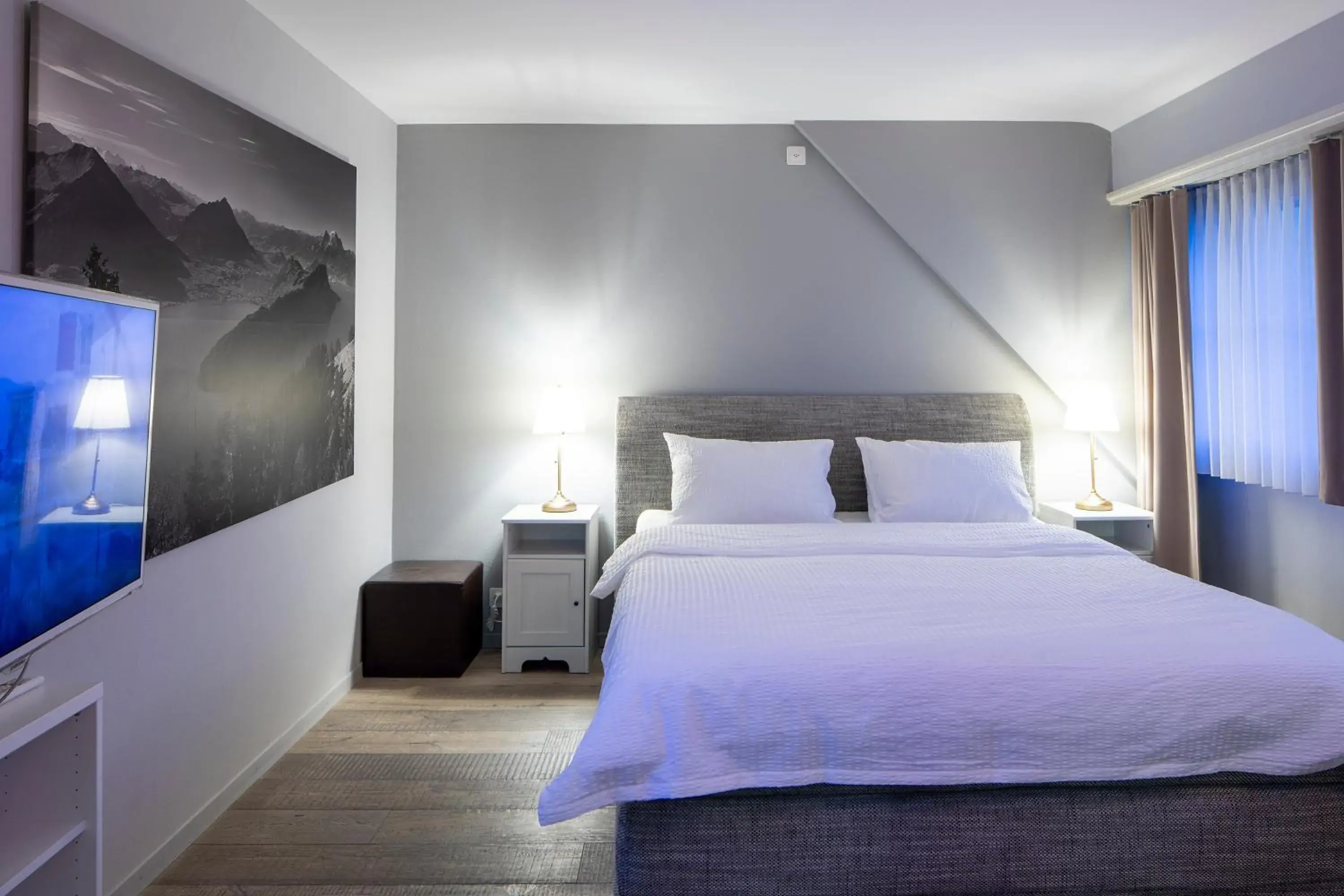 Standard Double Room - single occupancy in Rigiblick am See Standard Double Room - single occupancy in Rigiblick am See