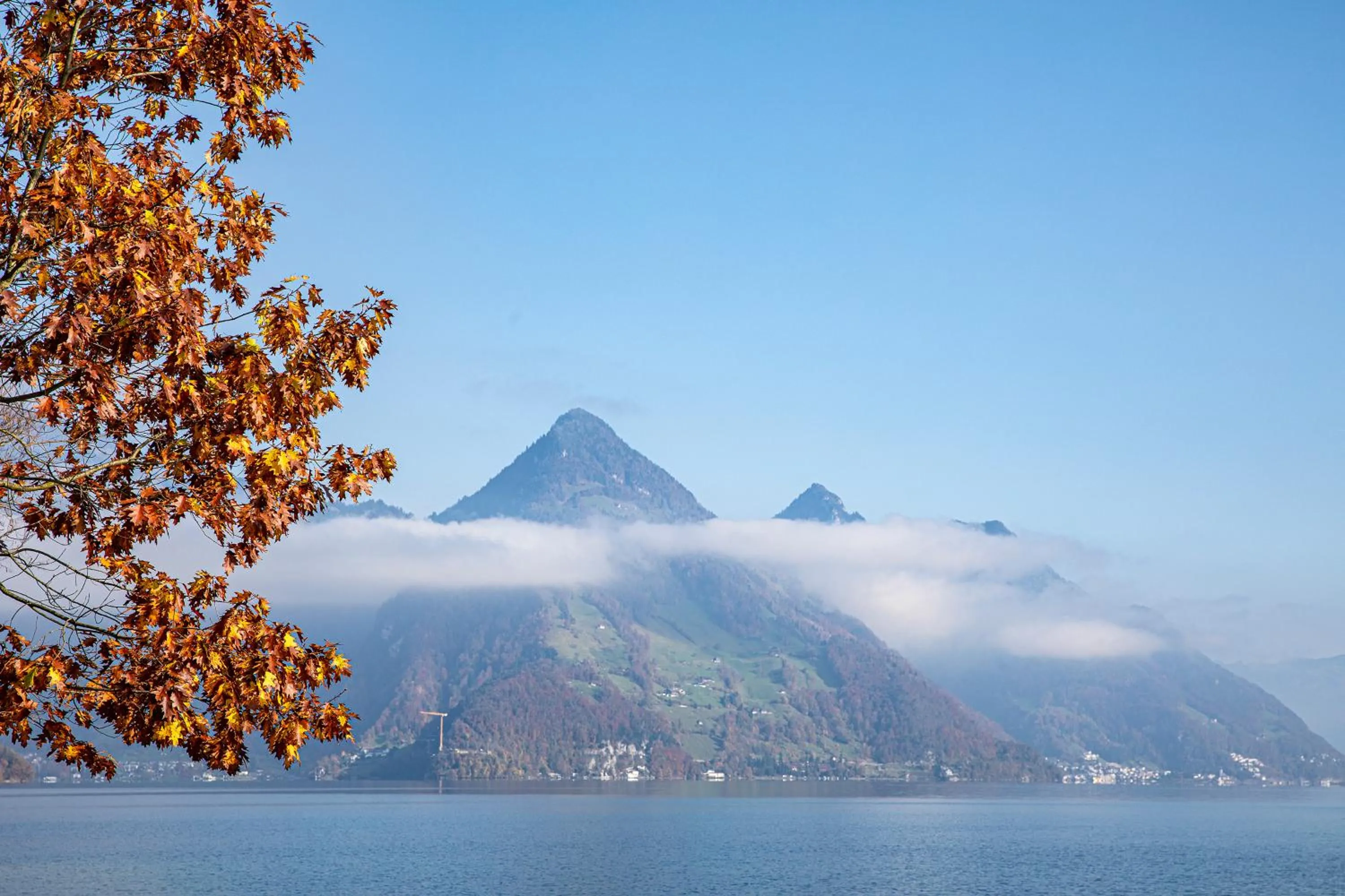 View (from property/room) in Rigiblick am See