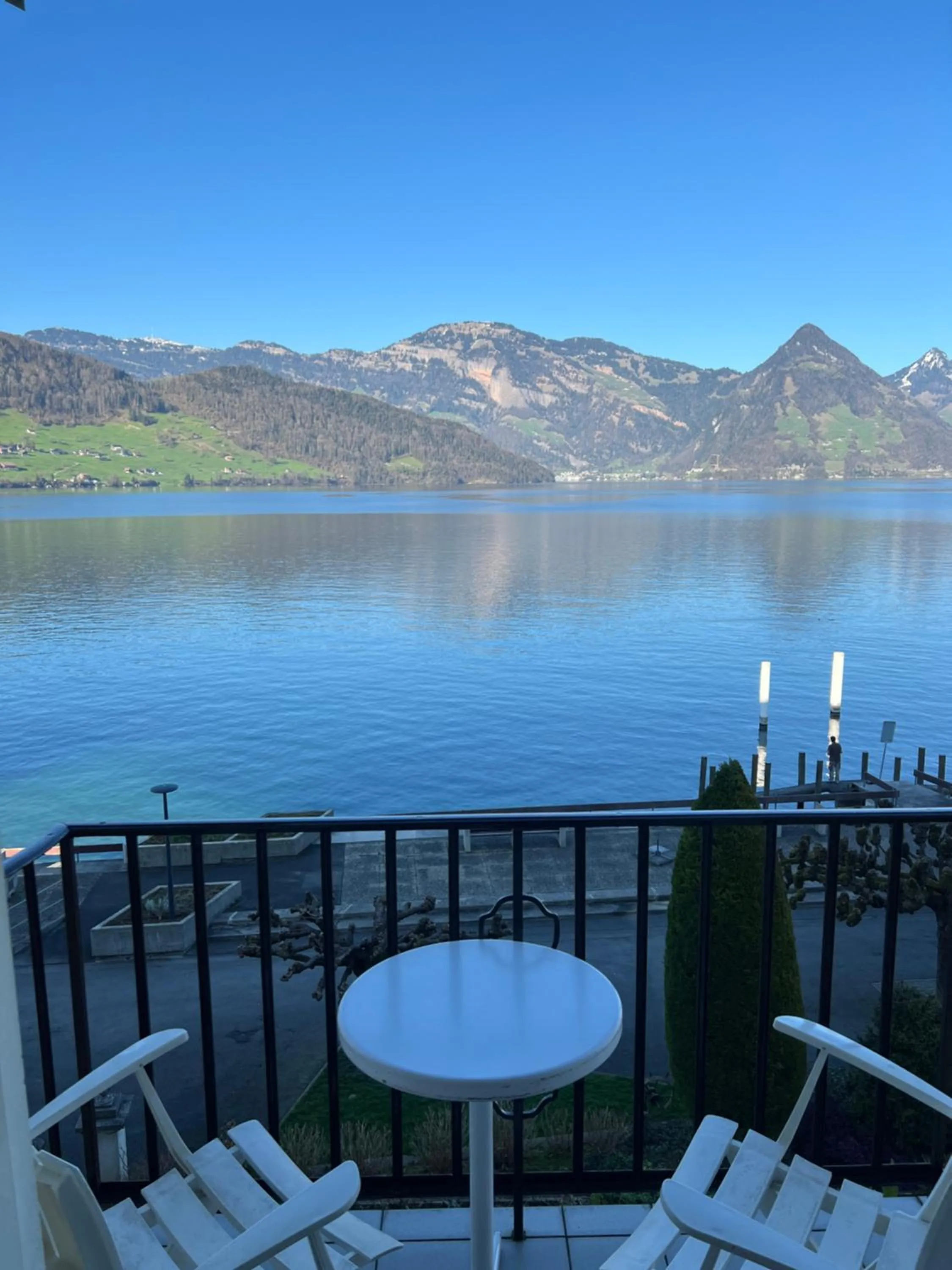 View (from property/room) in Rigiblick am See