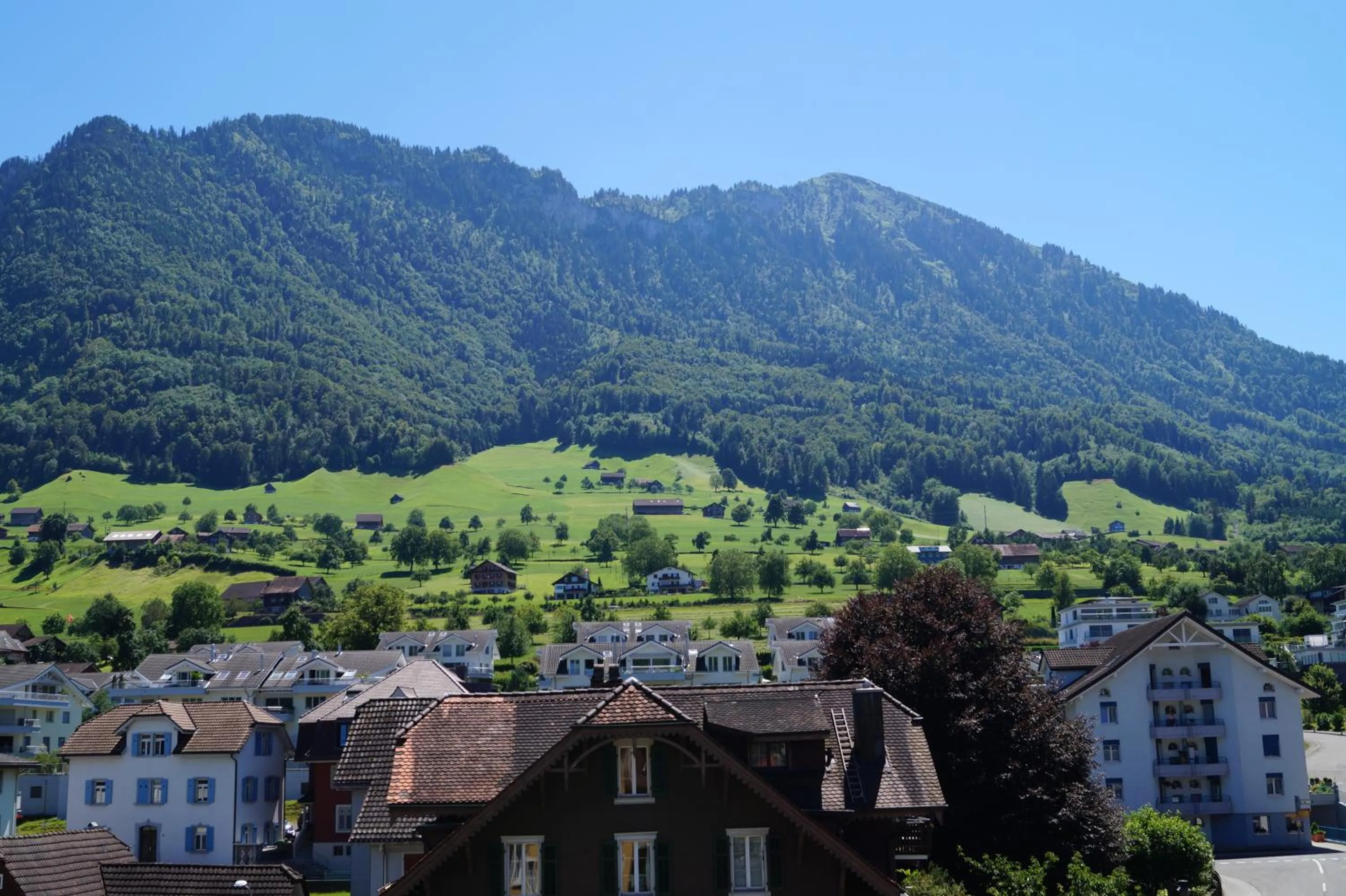 Area and facilities in Rigiblick am See