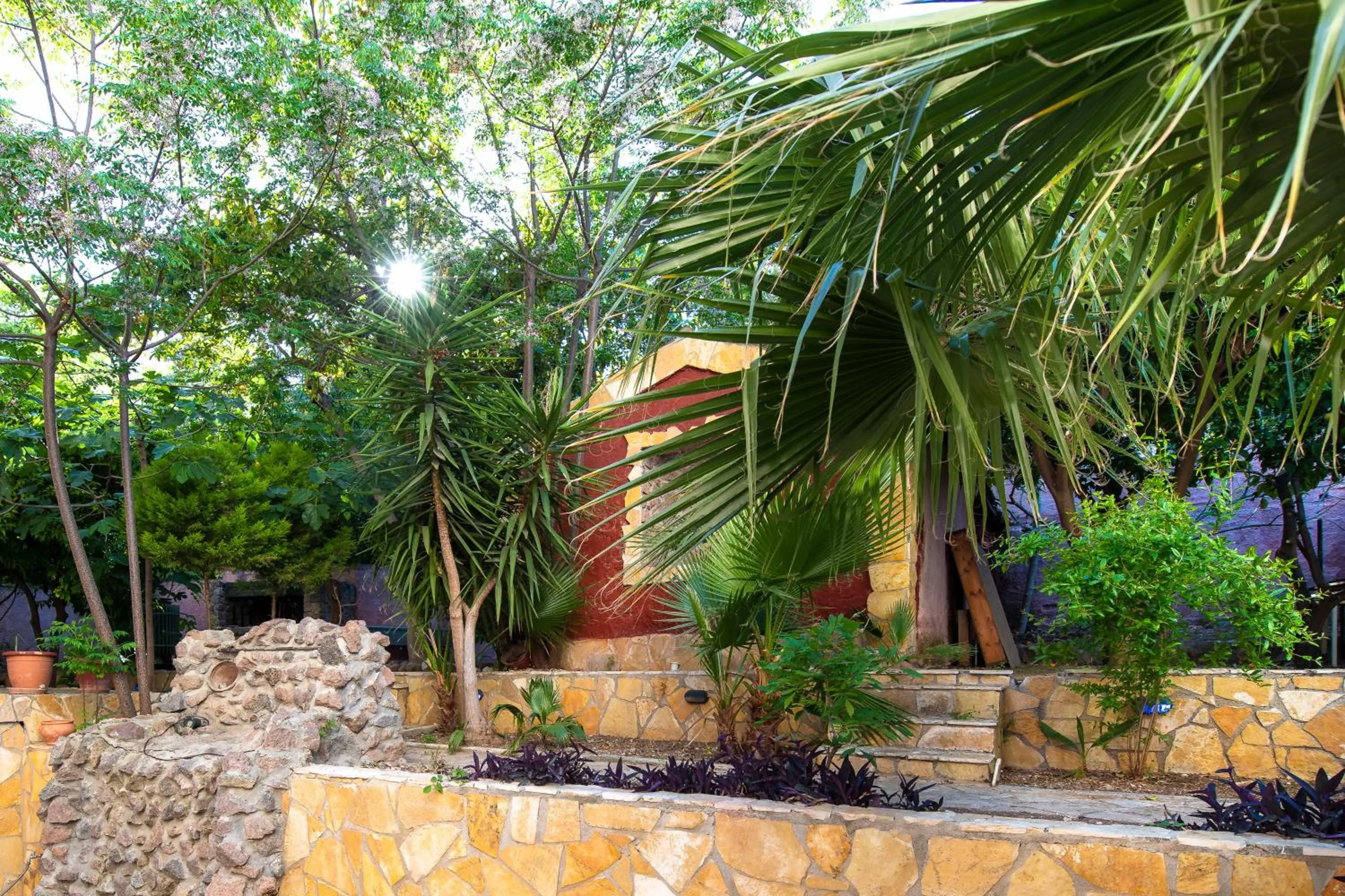 Garden in Avra Hotel