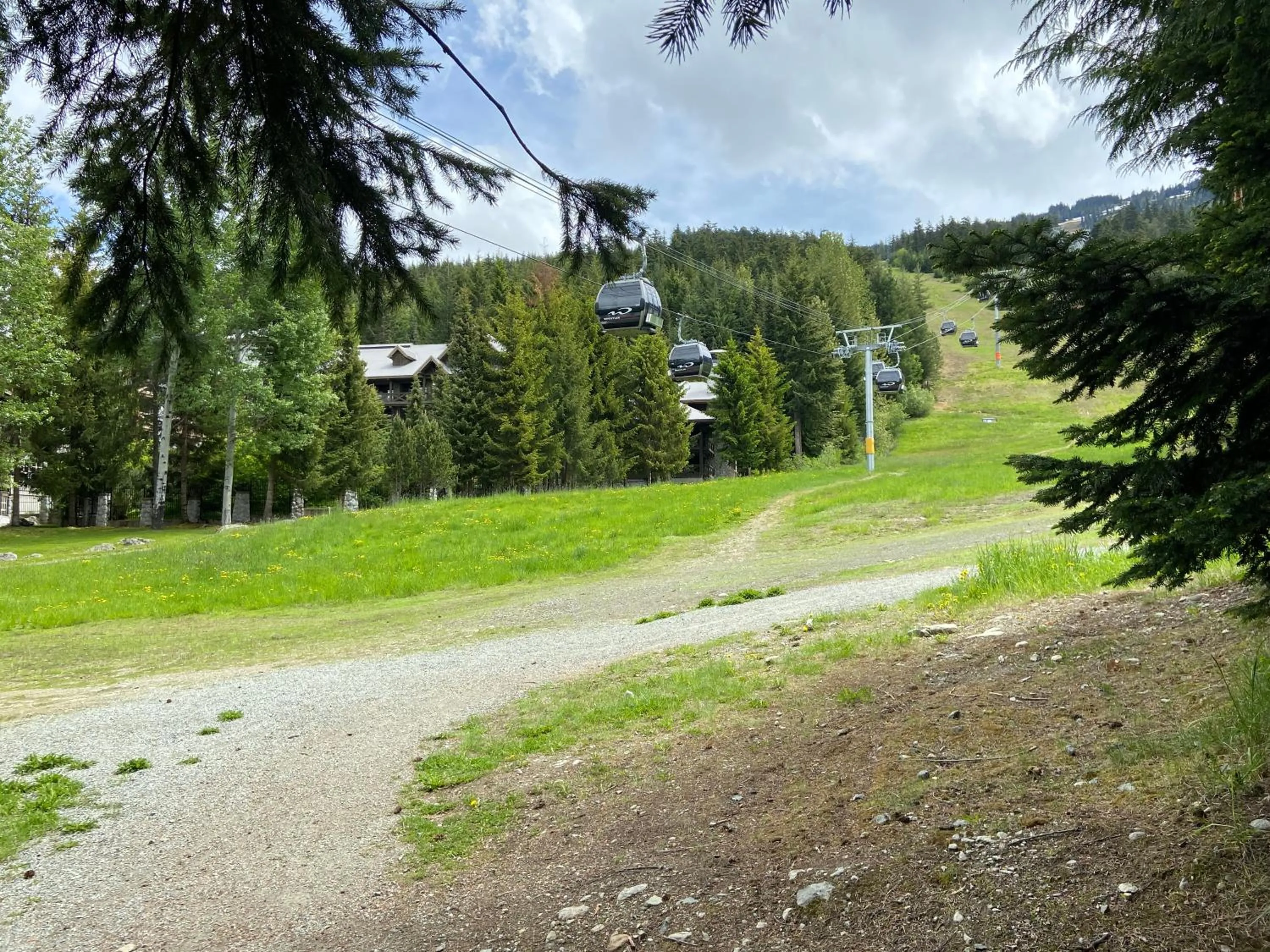 Natural landscape in Blackcomb Springs Suites by CLIQUE