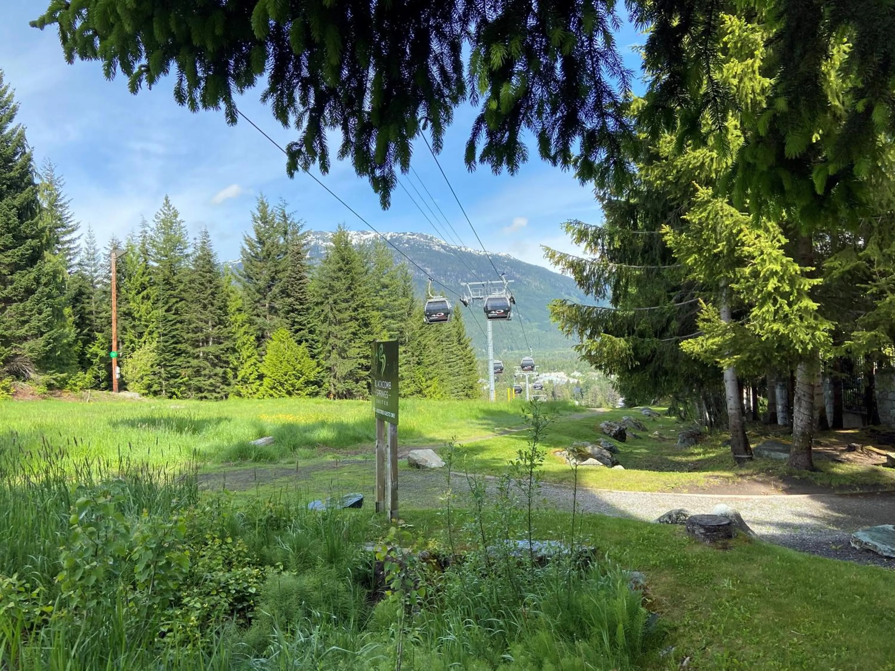 Natural landscape in Blackcomb Springs Suites by CLIQUE