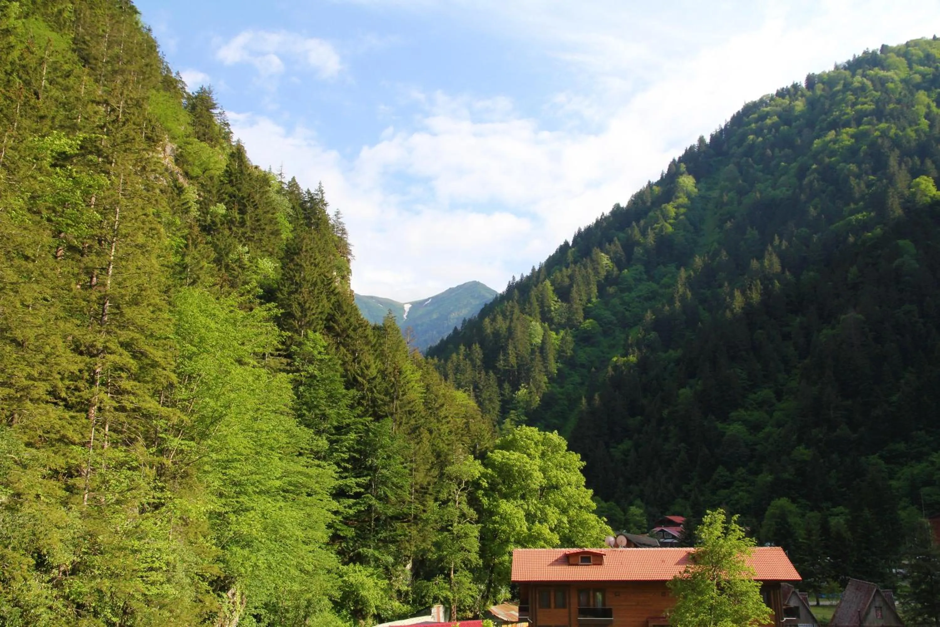 Natural landscape in Kilpa Hotel