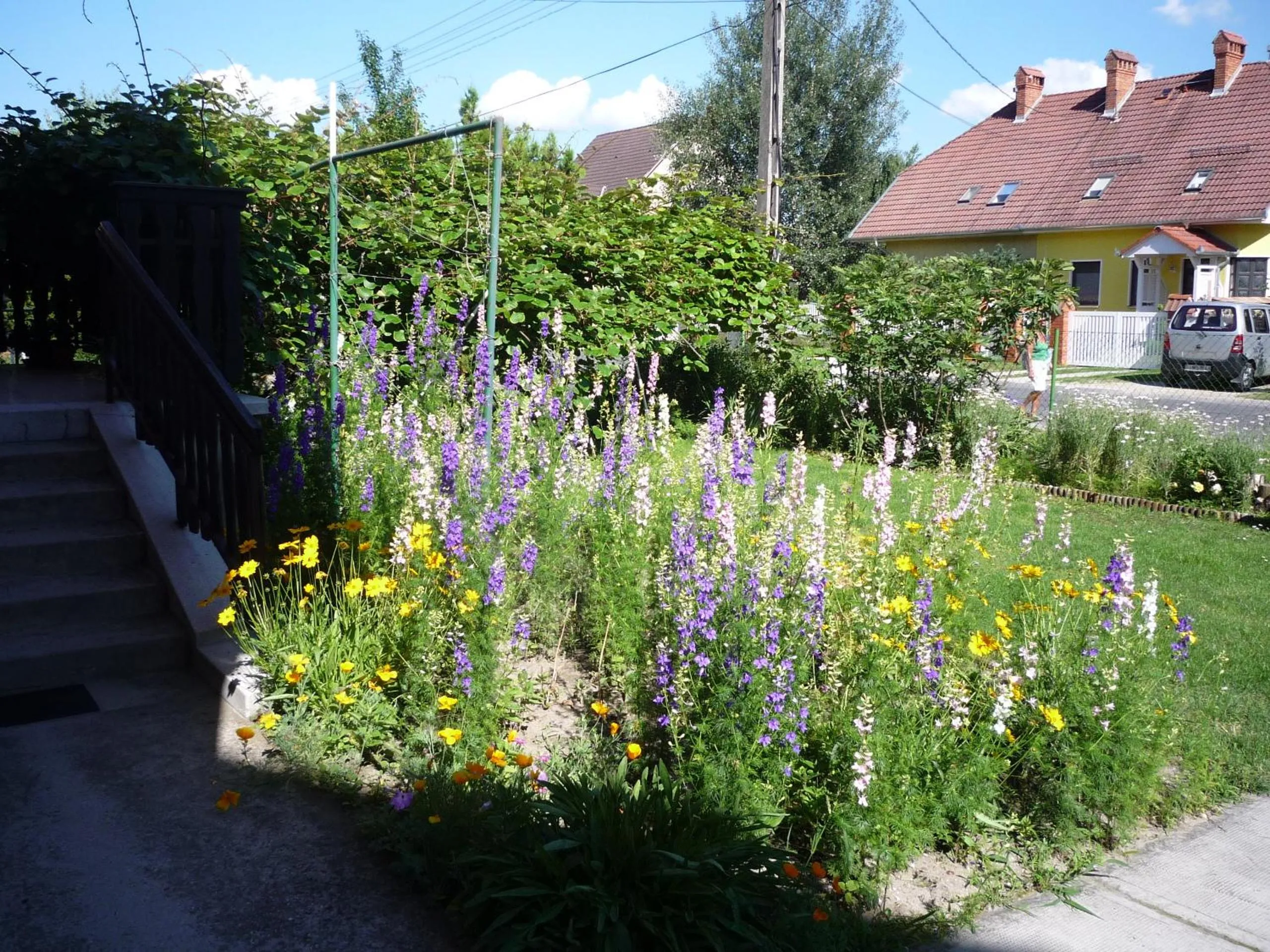 Garden view in Molnár Vendégház