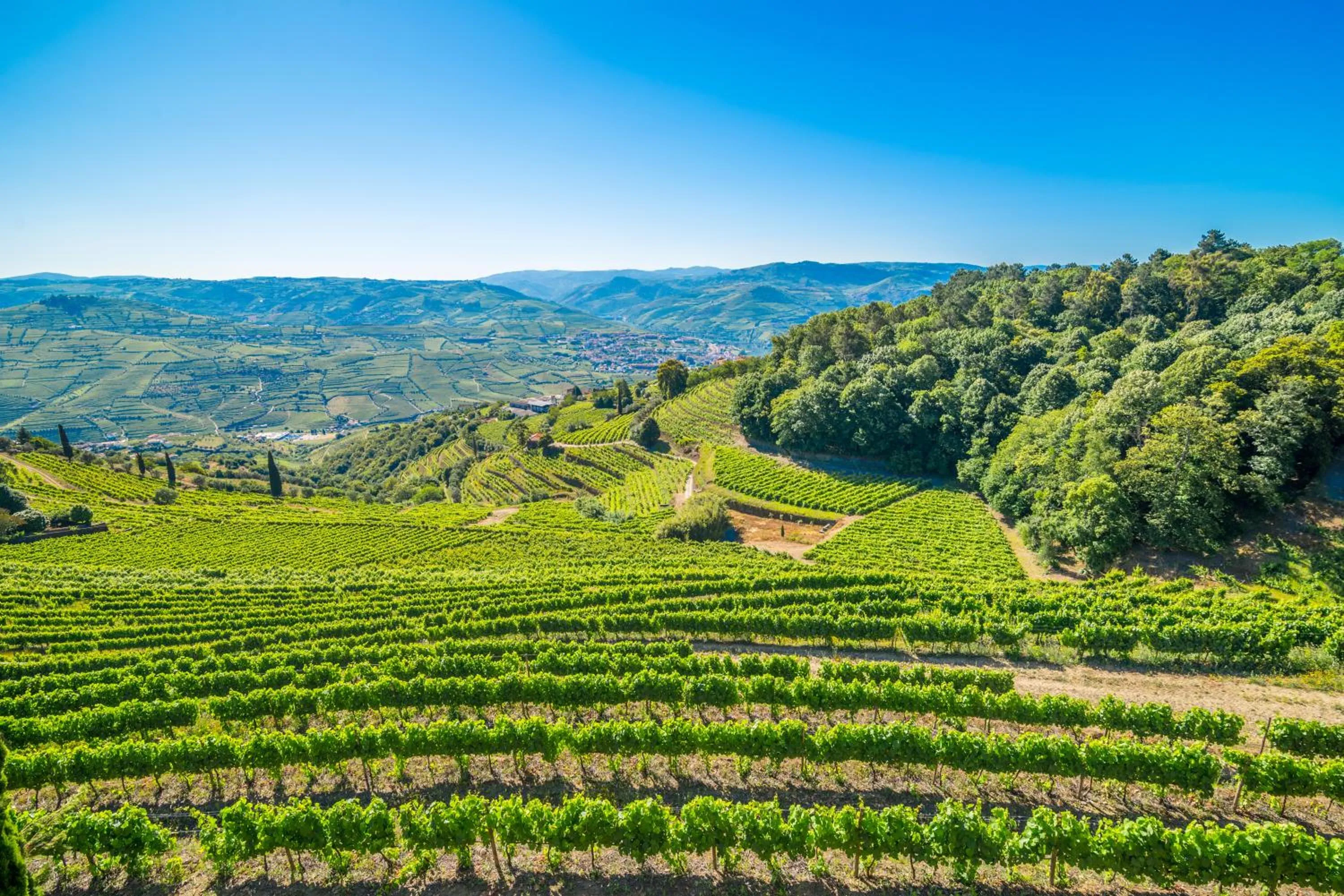 Quinta de Santa Júlia