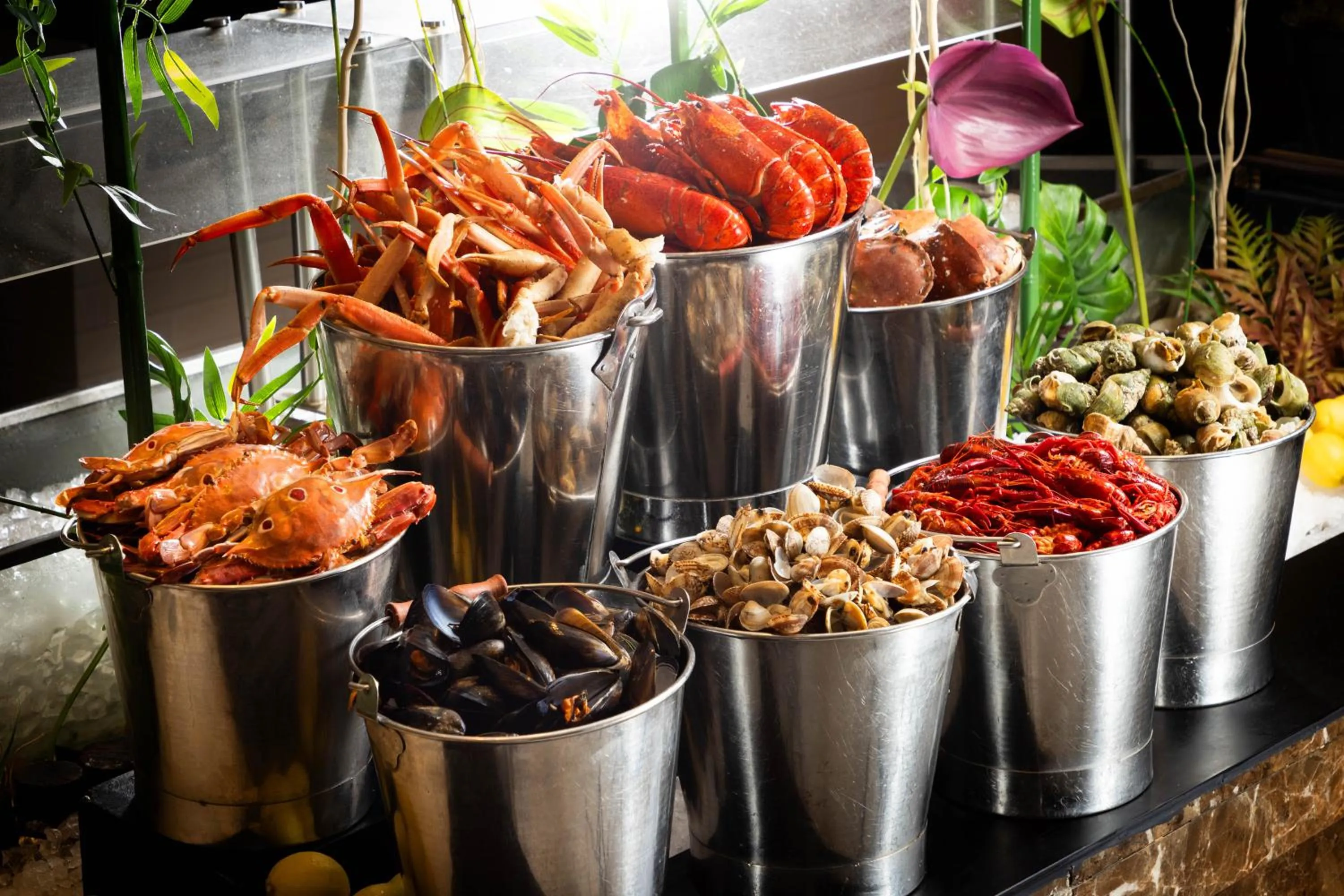 Food in Marco Polo Hongkong Hotel