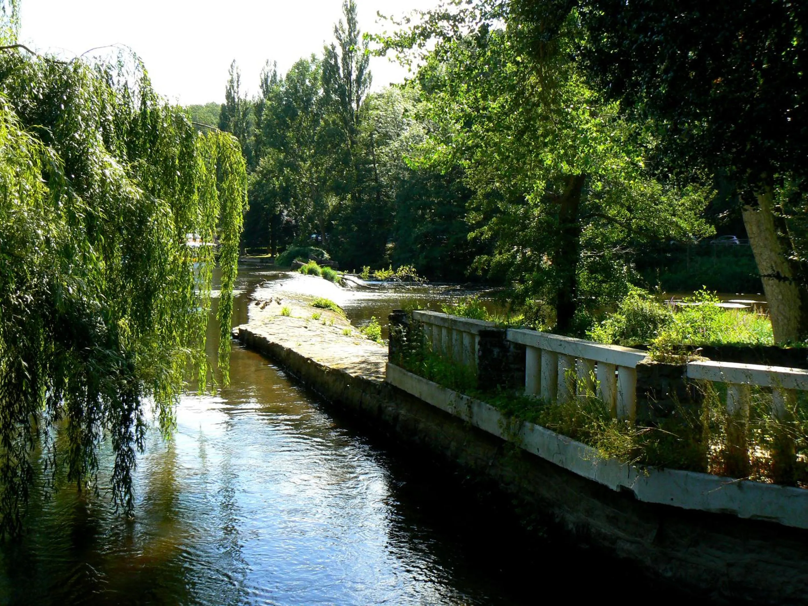 Garden in Chambres d'Hôtes du Moulin du Vey