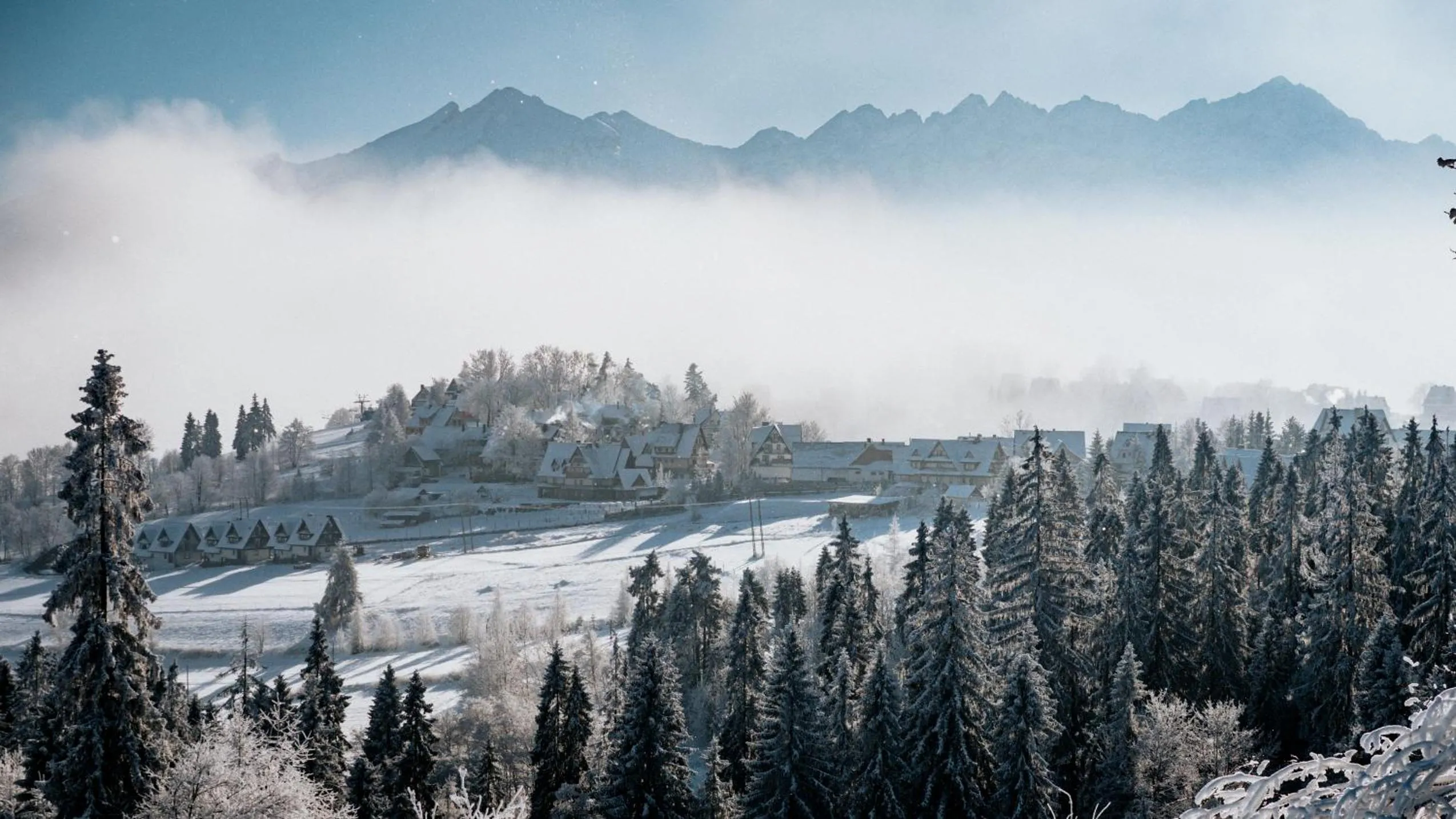 Mountain view in Willa Pachówka - tam, gdzie natura spotyka się z nowoczesnością