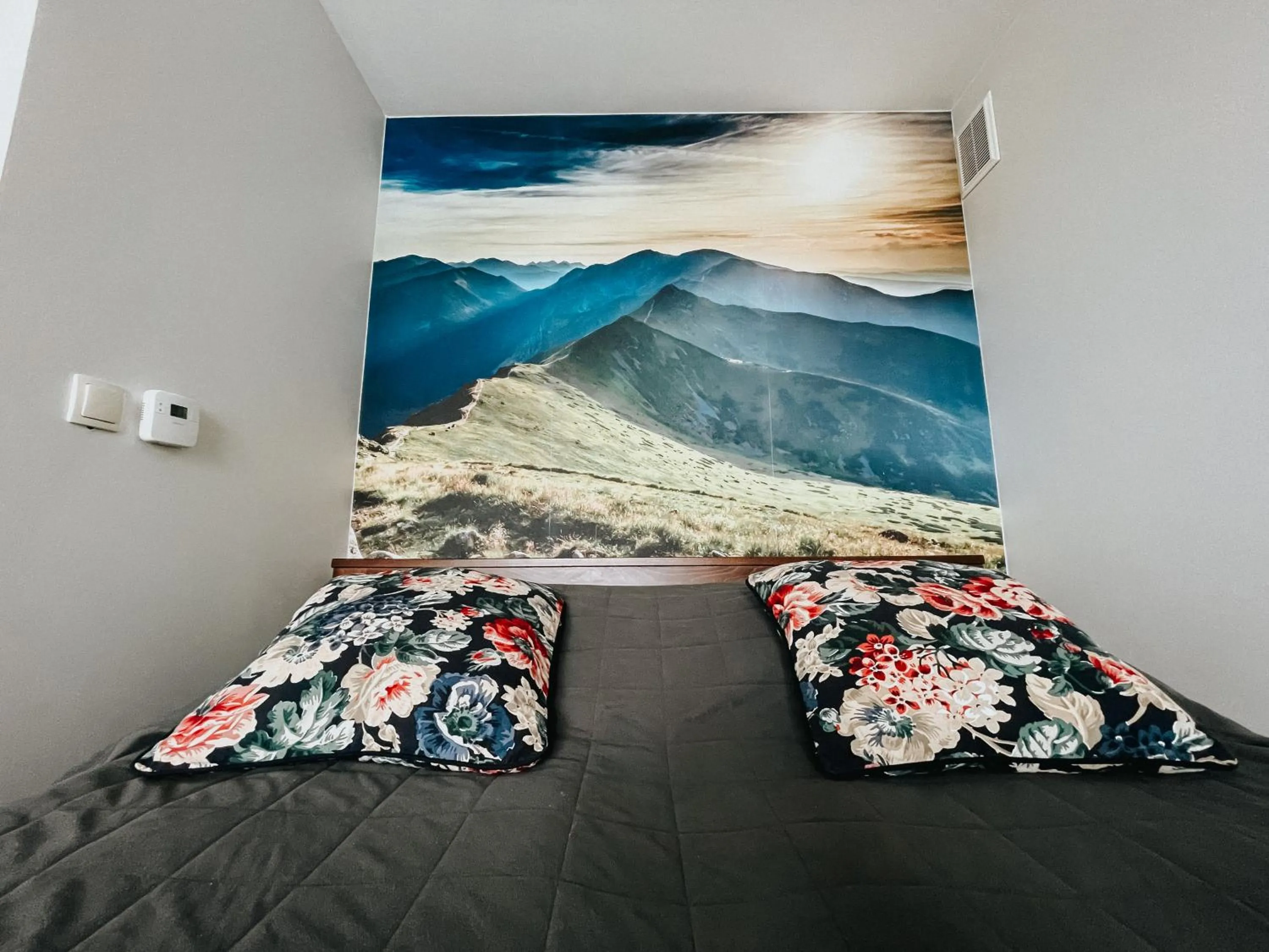 Bed in Willa Pachówka - tam, gdzie natura spotyka się z nowoczesnością