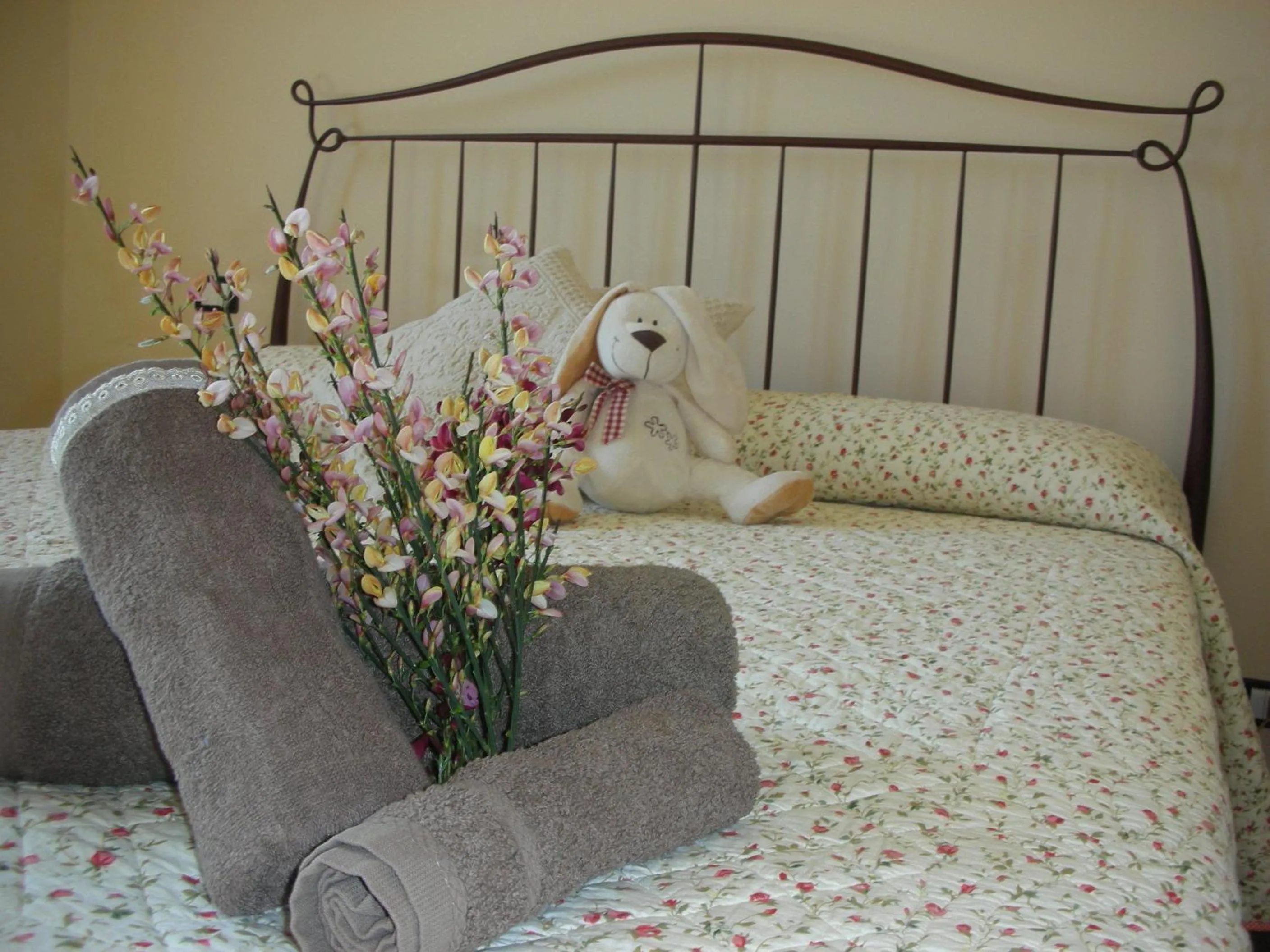 B&B Casacapraia