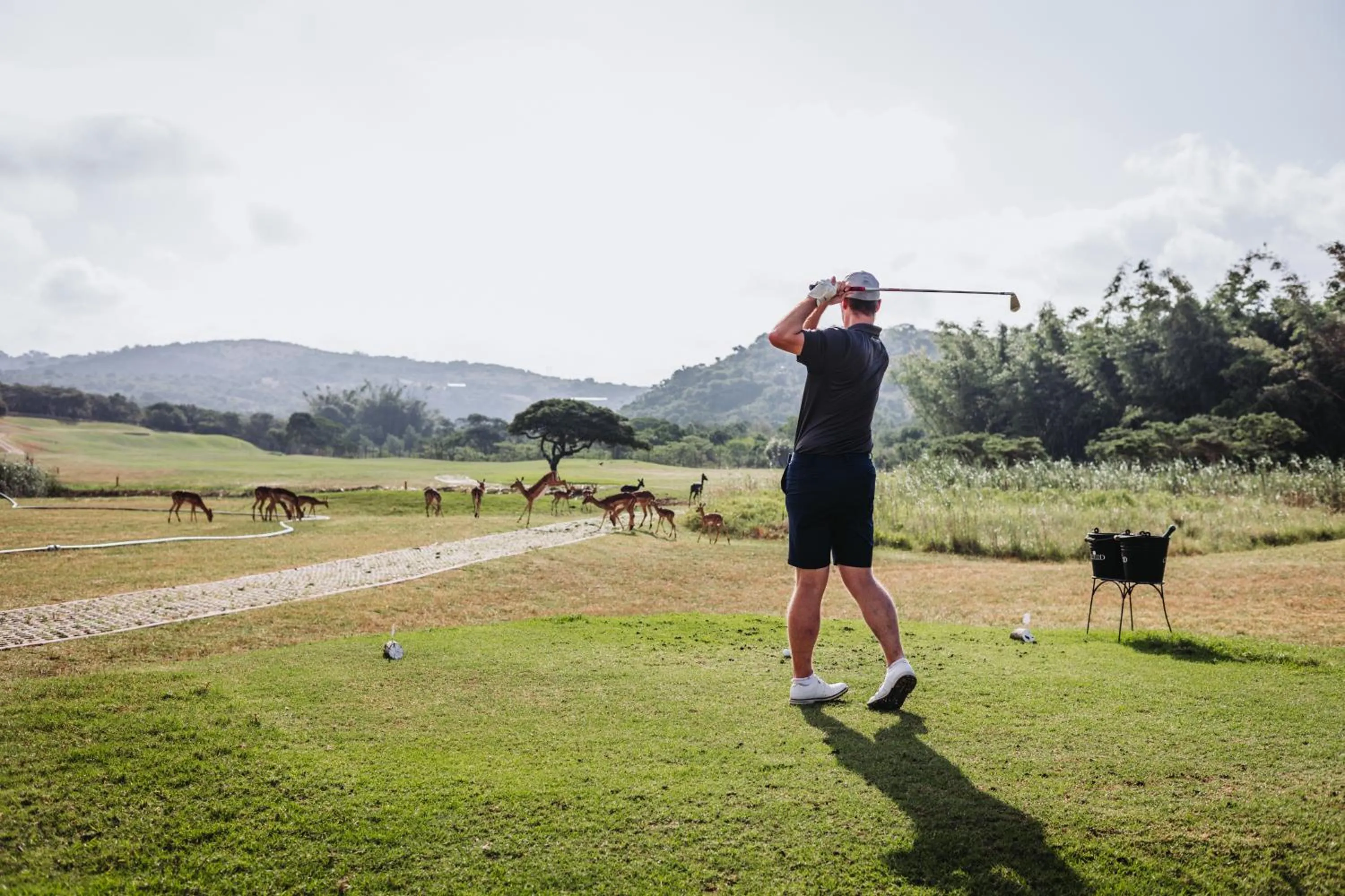 Golfcourse in Hotel Olivewood
