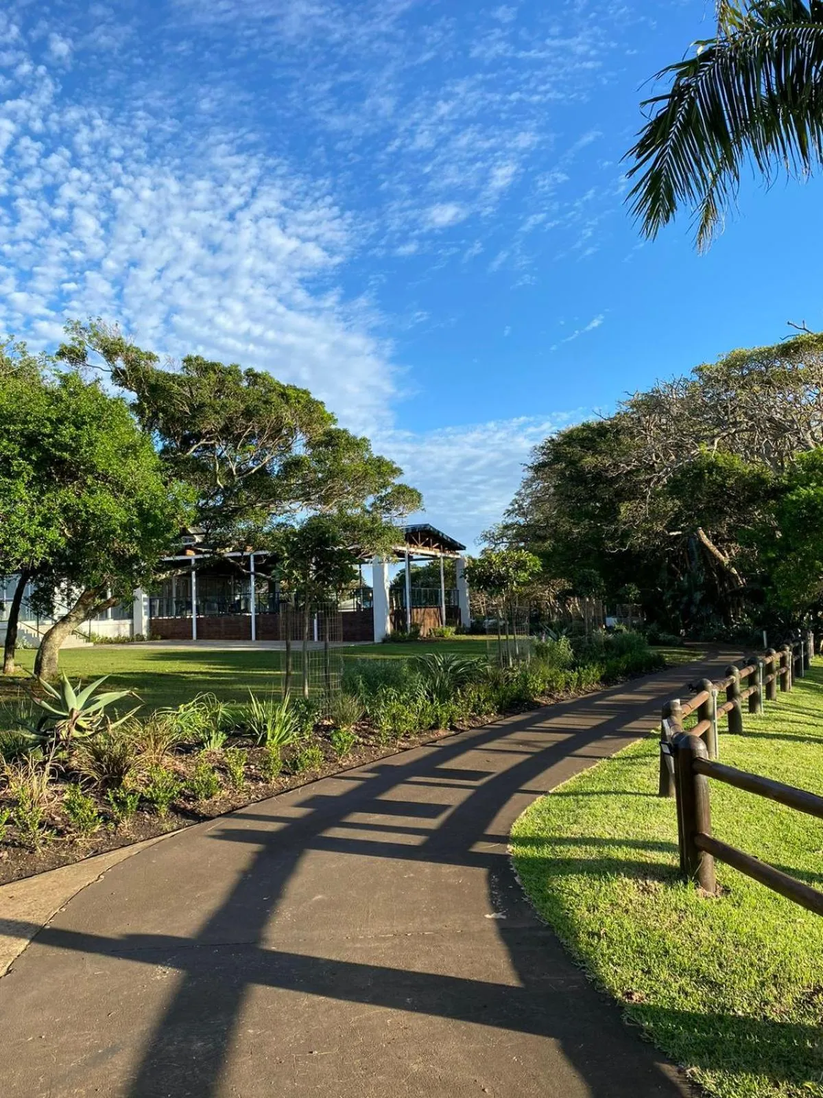 Property building in Hotel Olivewood