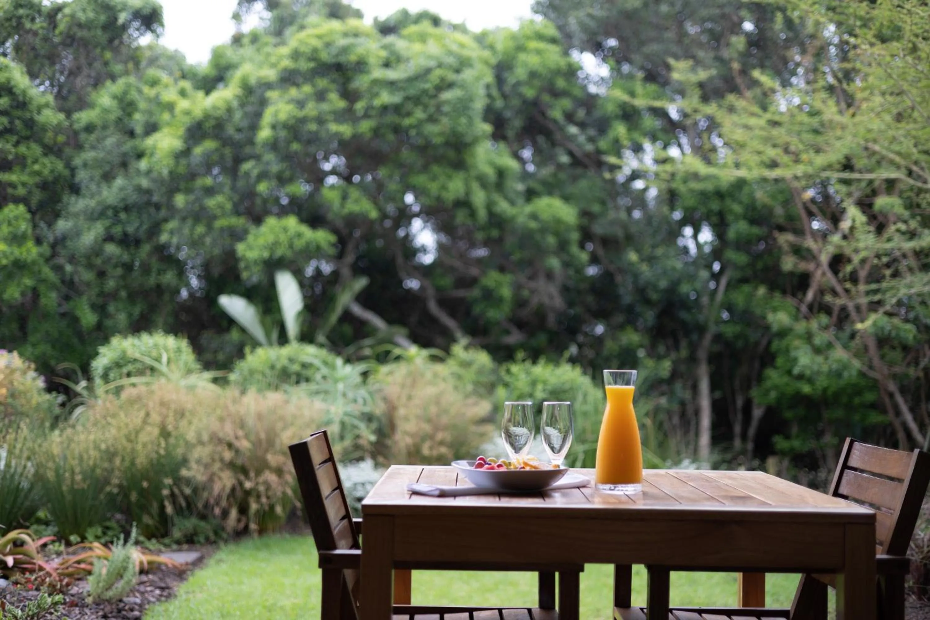 Breakfast in Hotel Olivewood