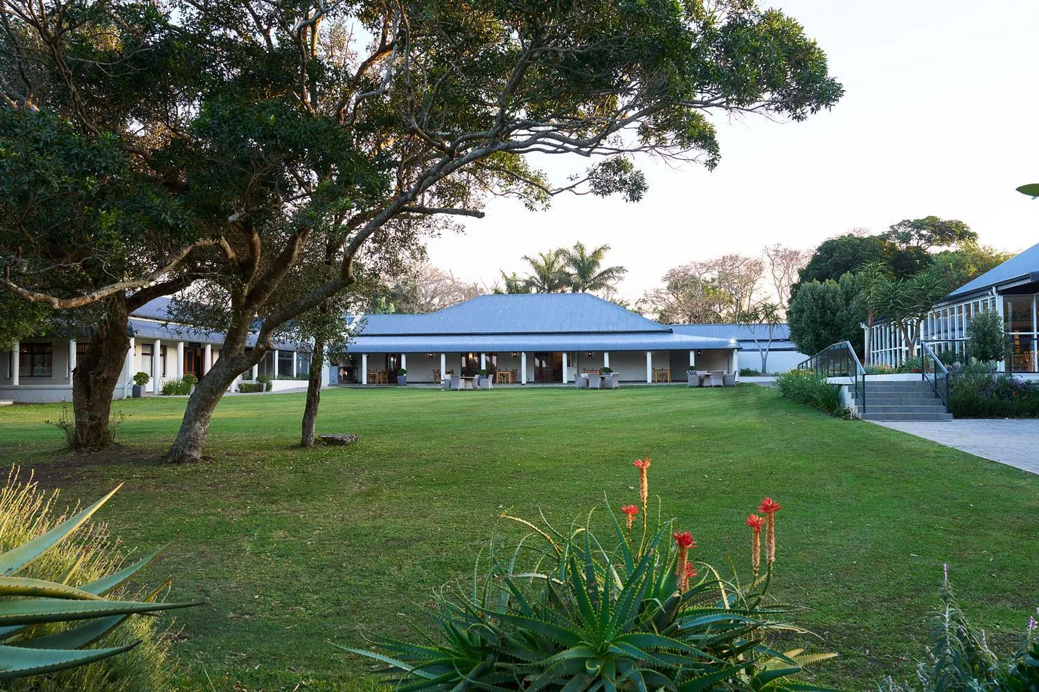 Garden view in Hotel Olivewood