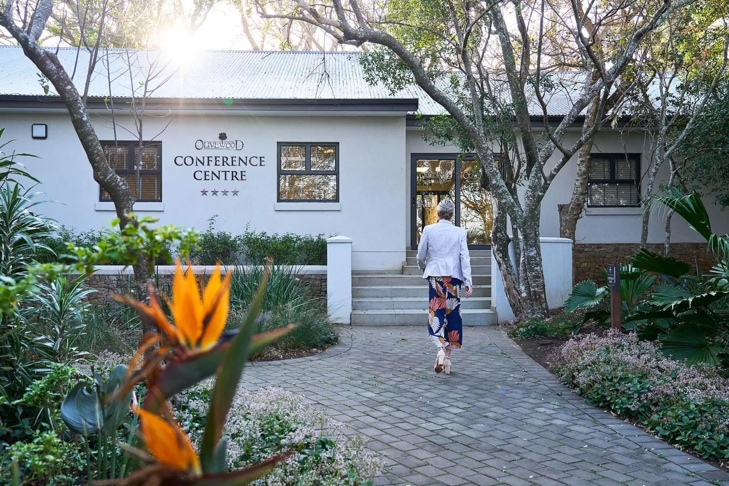 Meeting/conference room in Hotel Olivewood