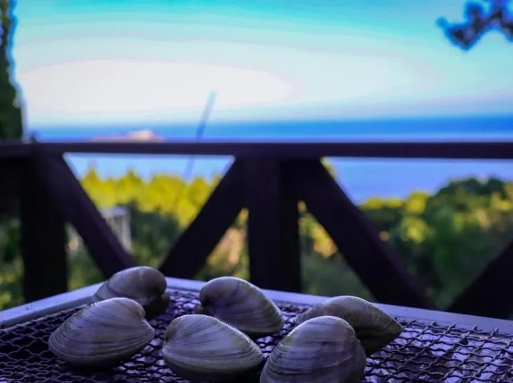 熱海 櫂雲 (Atami-Kaiun)