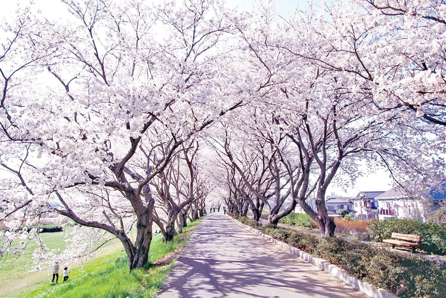Spring in BEB5 Tsuchiura by Hoshino Resorts