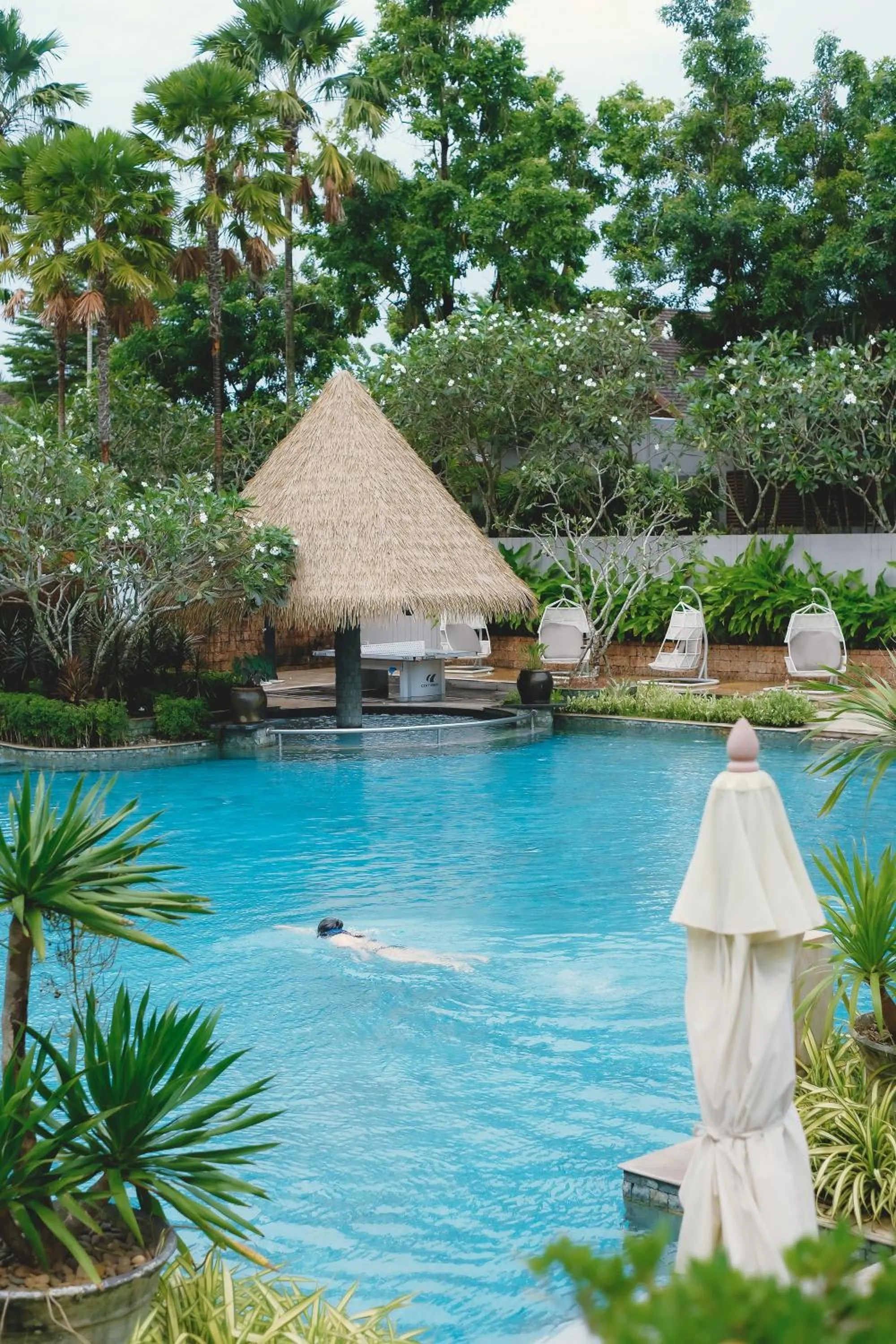 Pool view in Avani Plus Mai Khao Phuket Suites