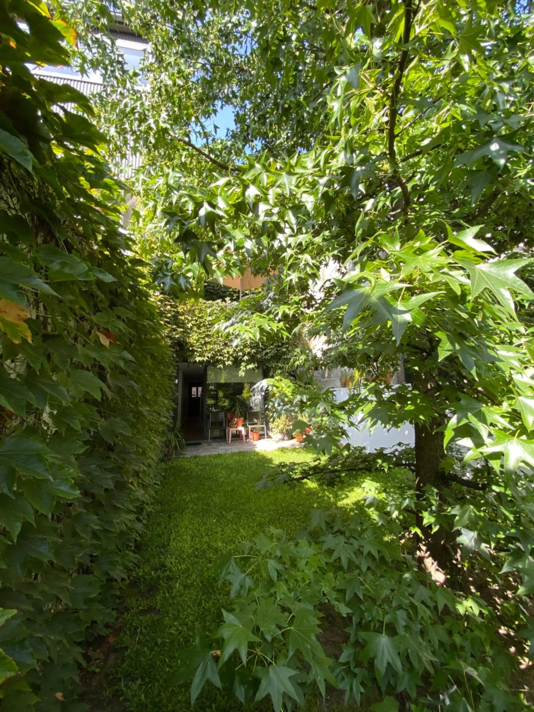 Garden in Casa 45 Porto