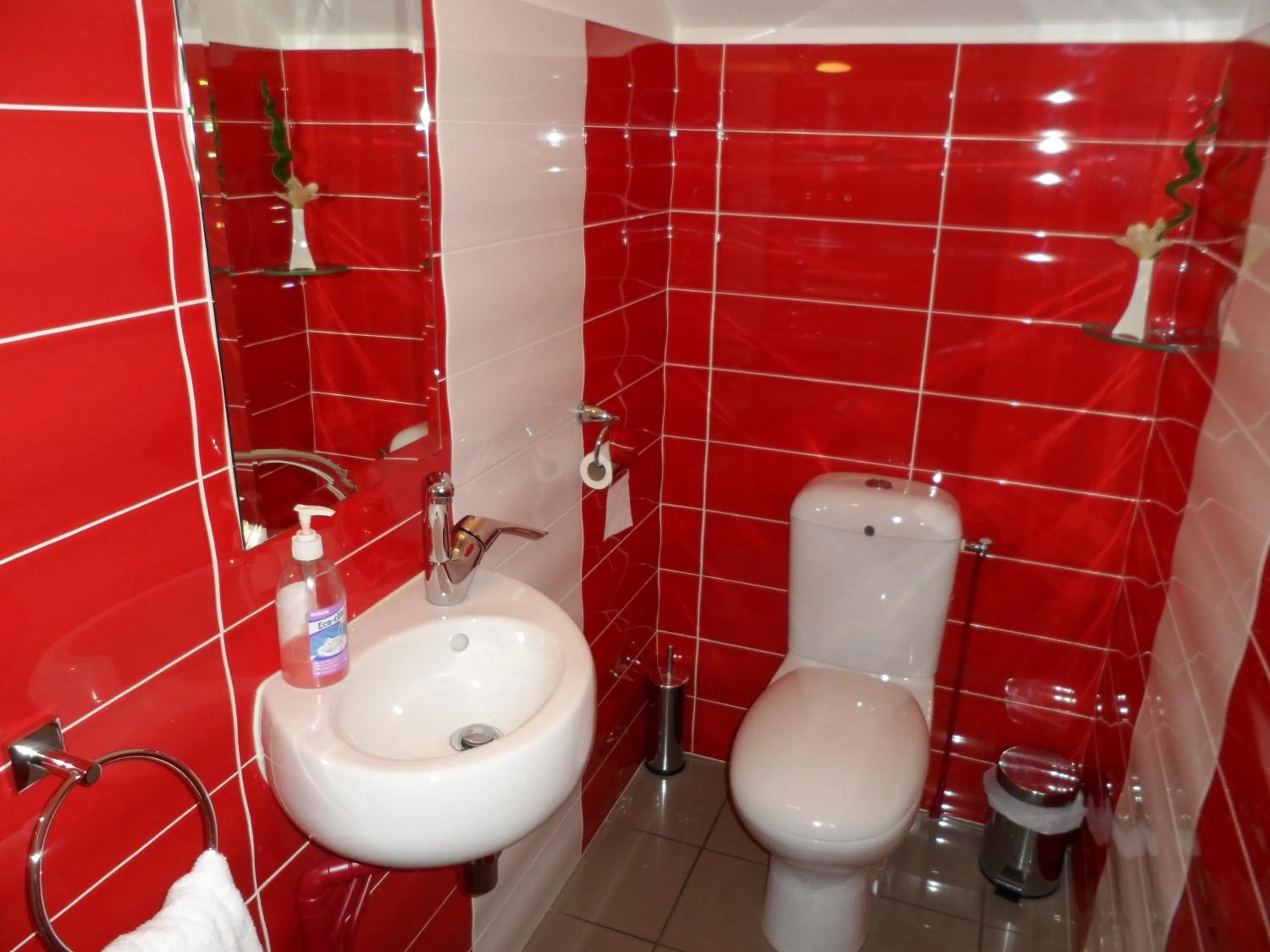 Toilet in Hotel Lyon Sud, Pierre Benite, St Genis Laval