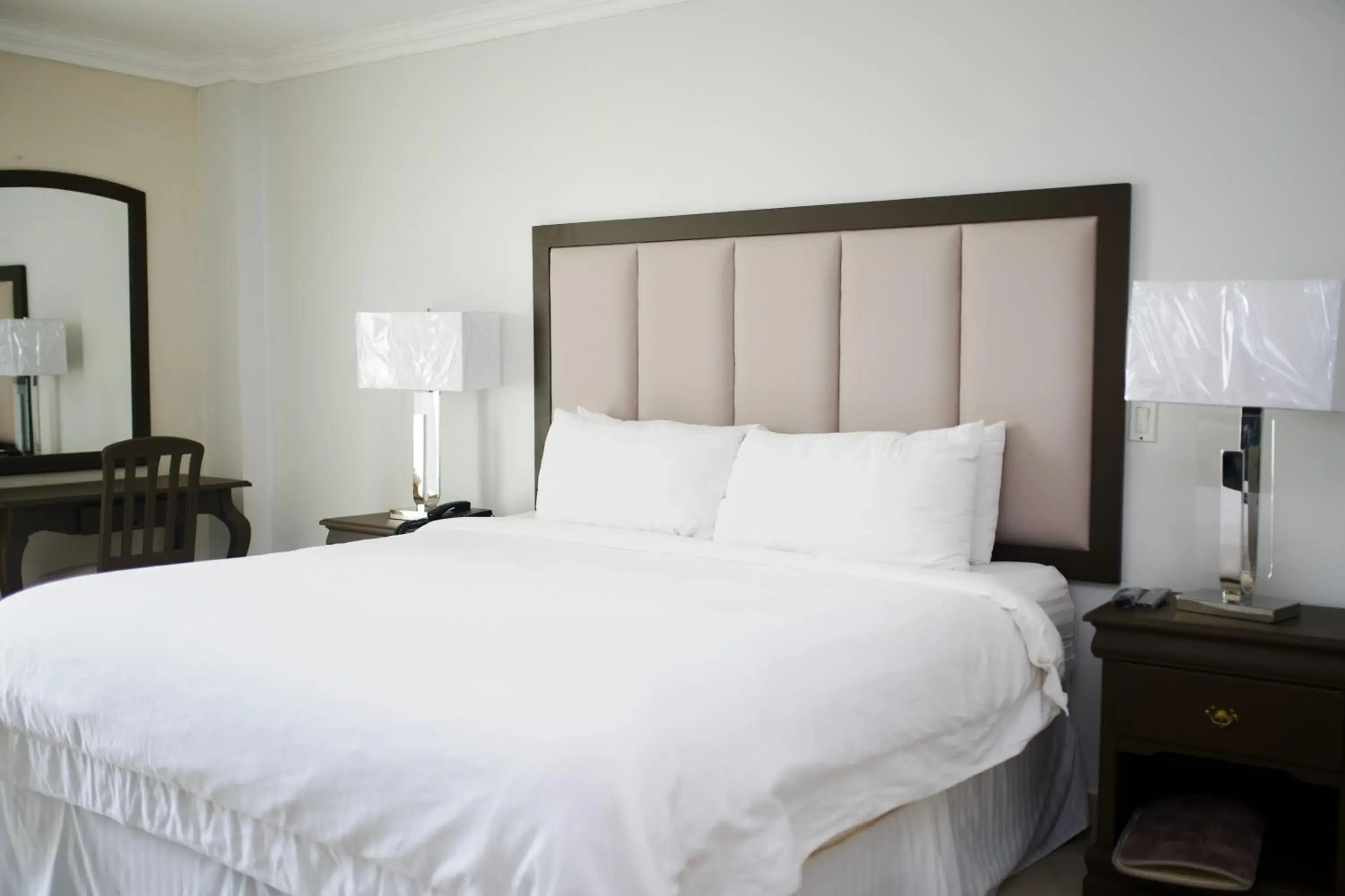 King Room - single occupancy in Hotel Quinta Real King Room - single occupancy in Hotel Quinta Real