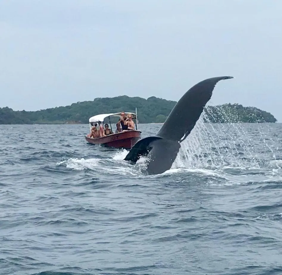 Activities in Mar Y Oro