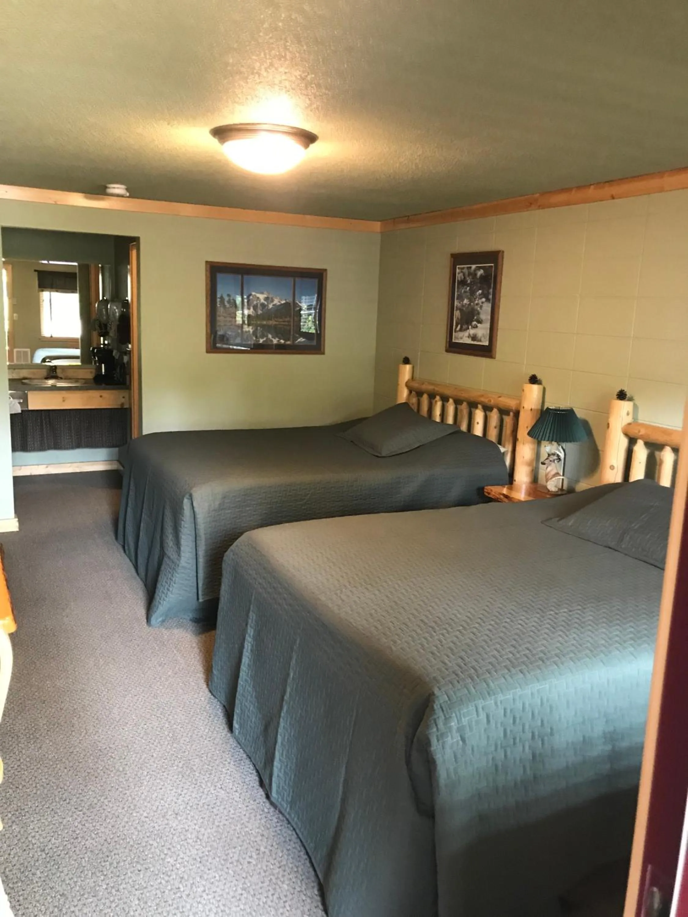 Photo of the whole room in Mingo Motel