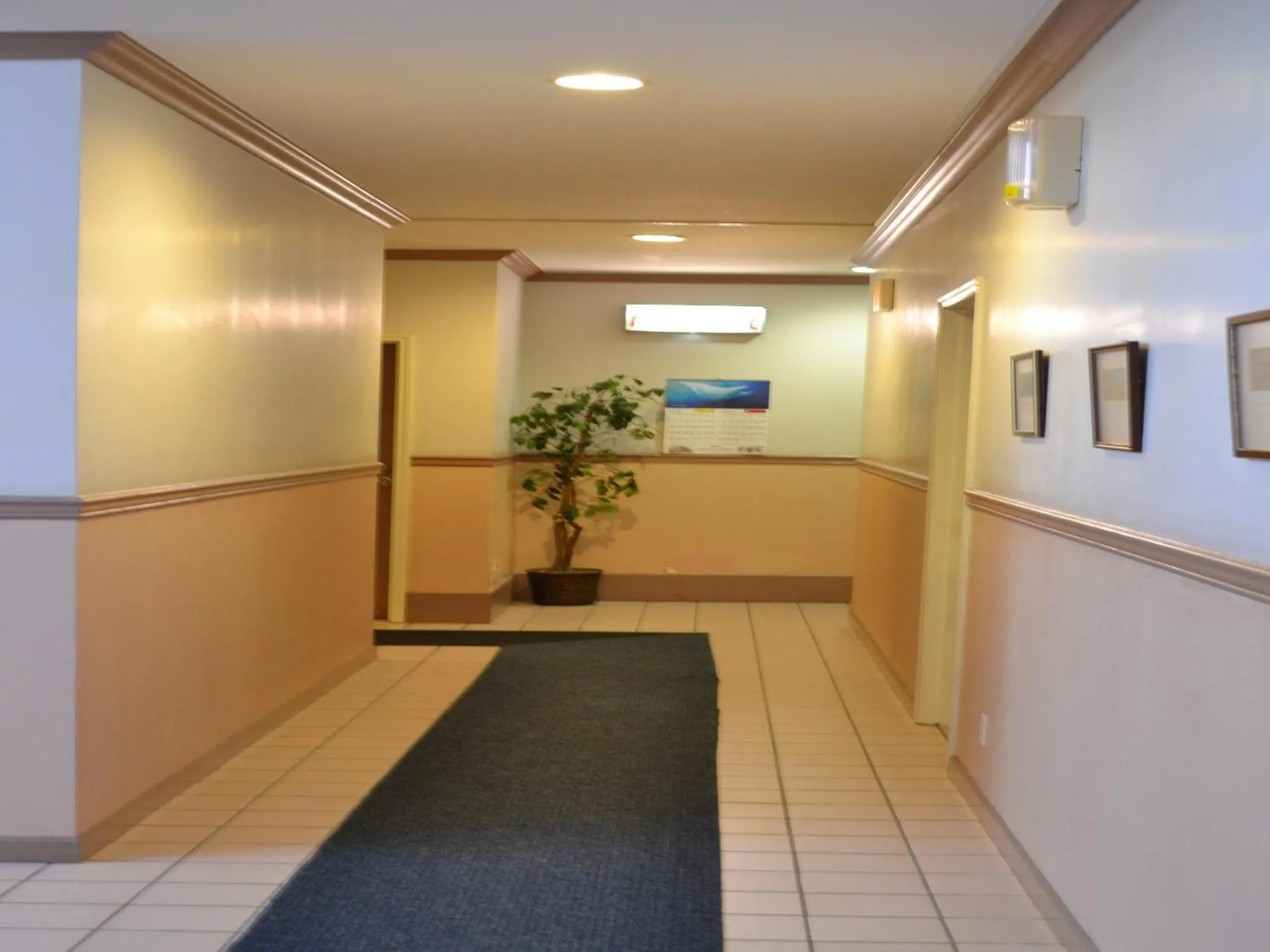 On site in West Plaza Desekel