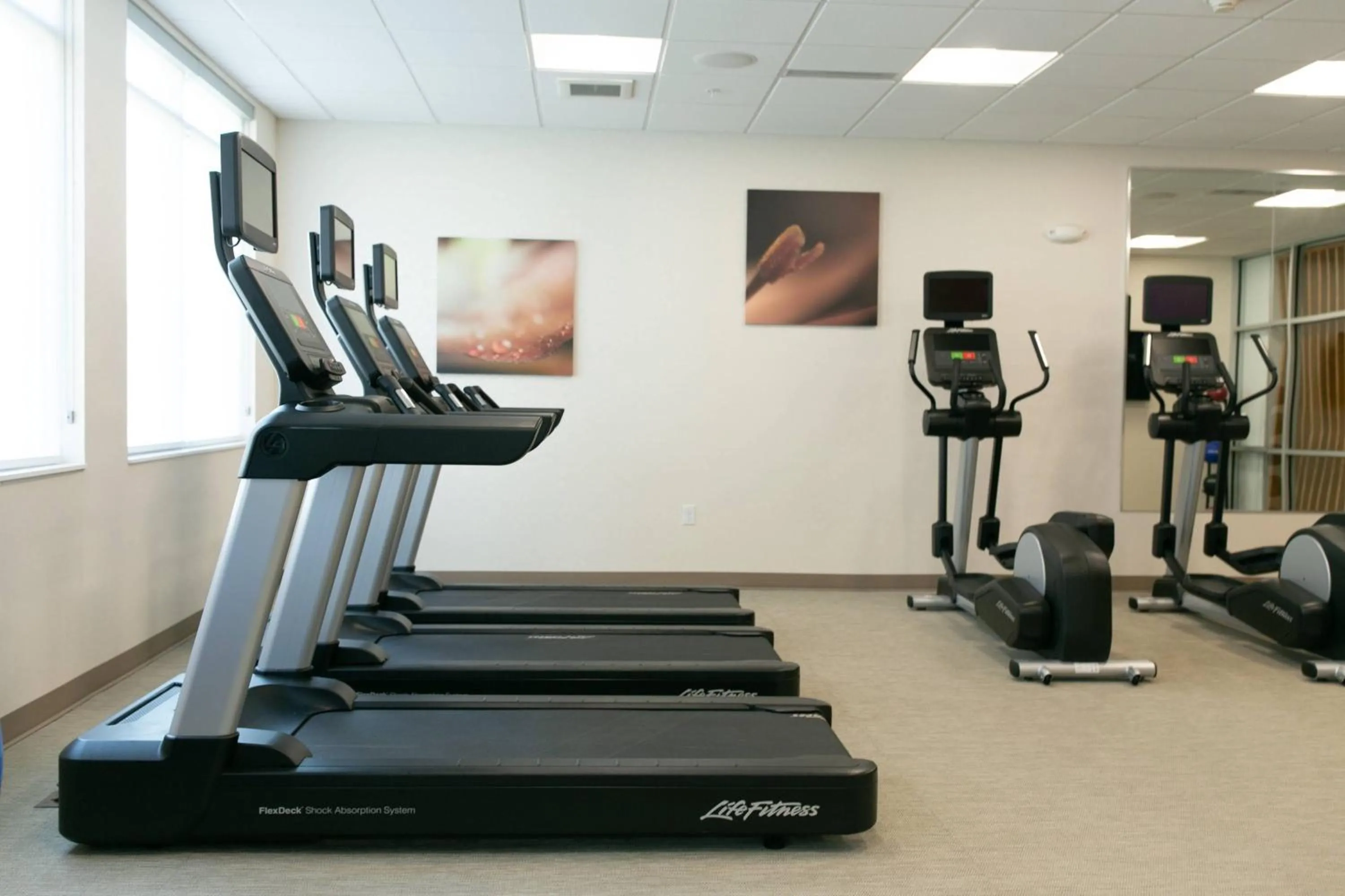 Fitness centre/facilities in SpringHill Suites by Marriott South Bend Notre Dame Area
