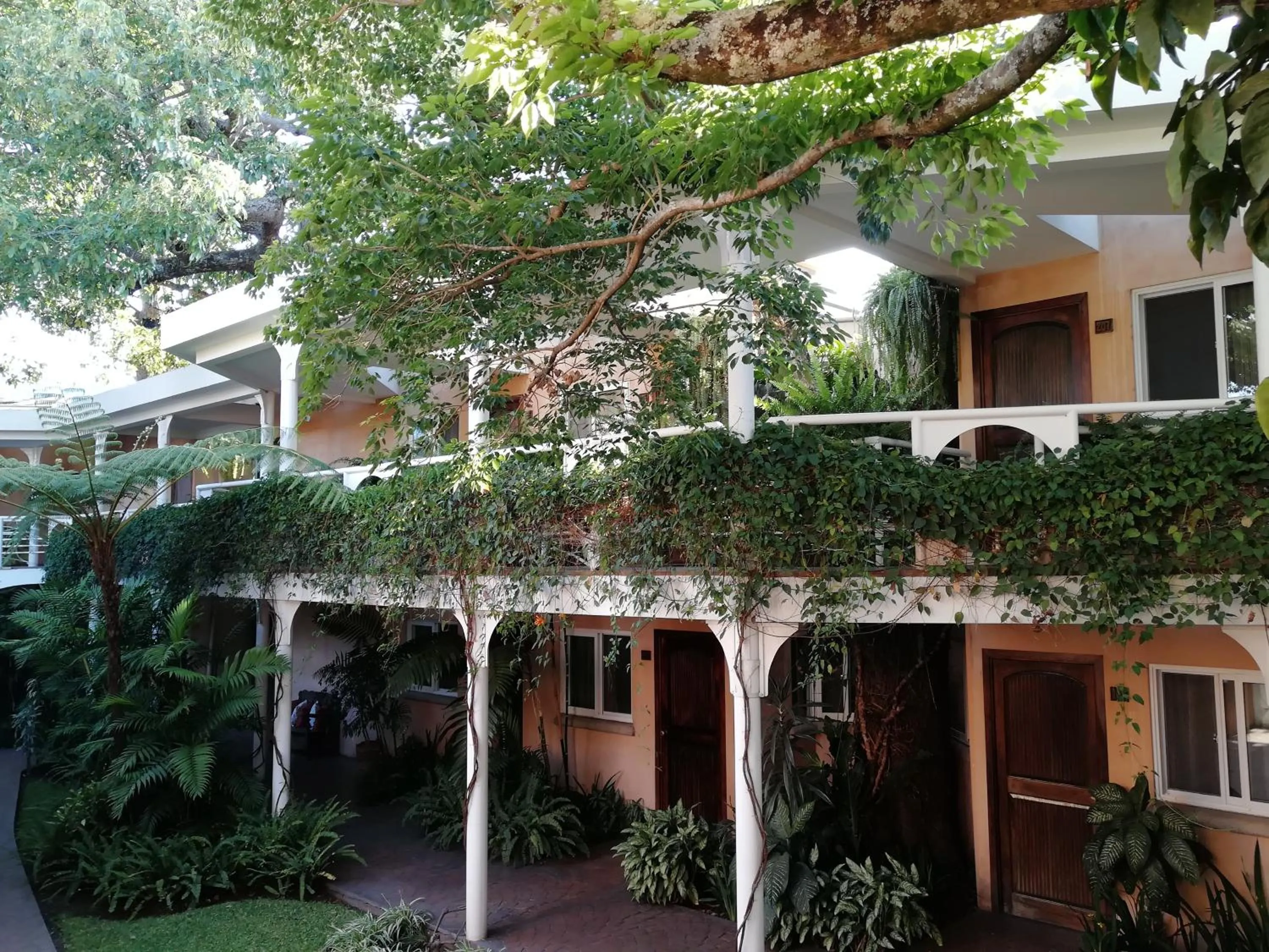 Natural landscape in Hotel Ciudad Vieja
