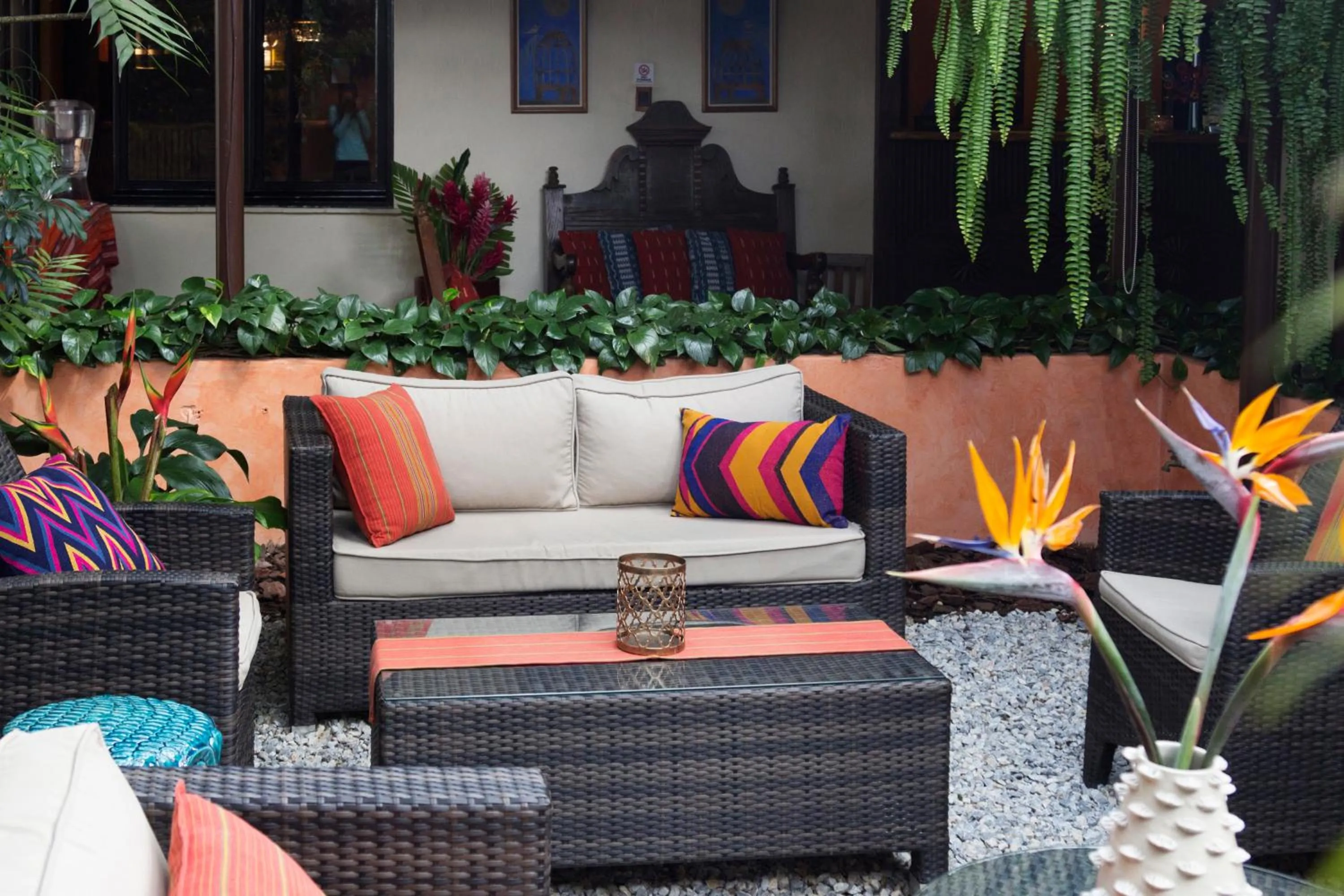 Garden in Hotel Ciudad Vieja