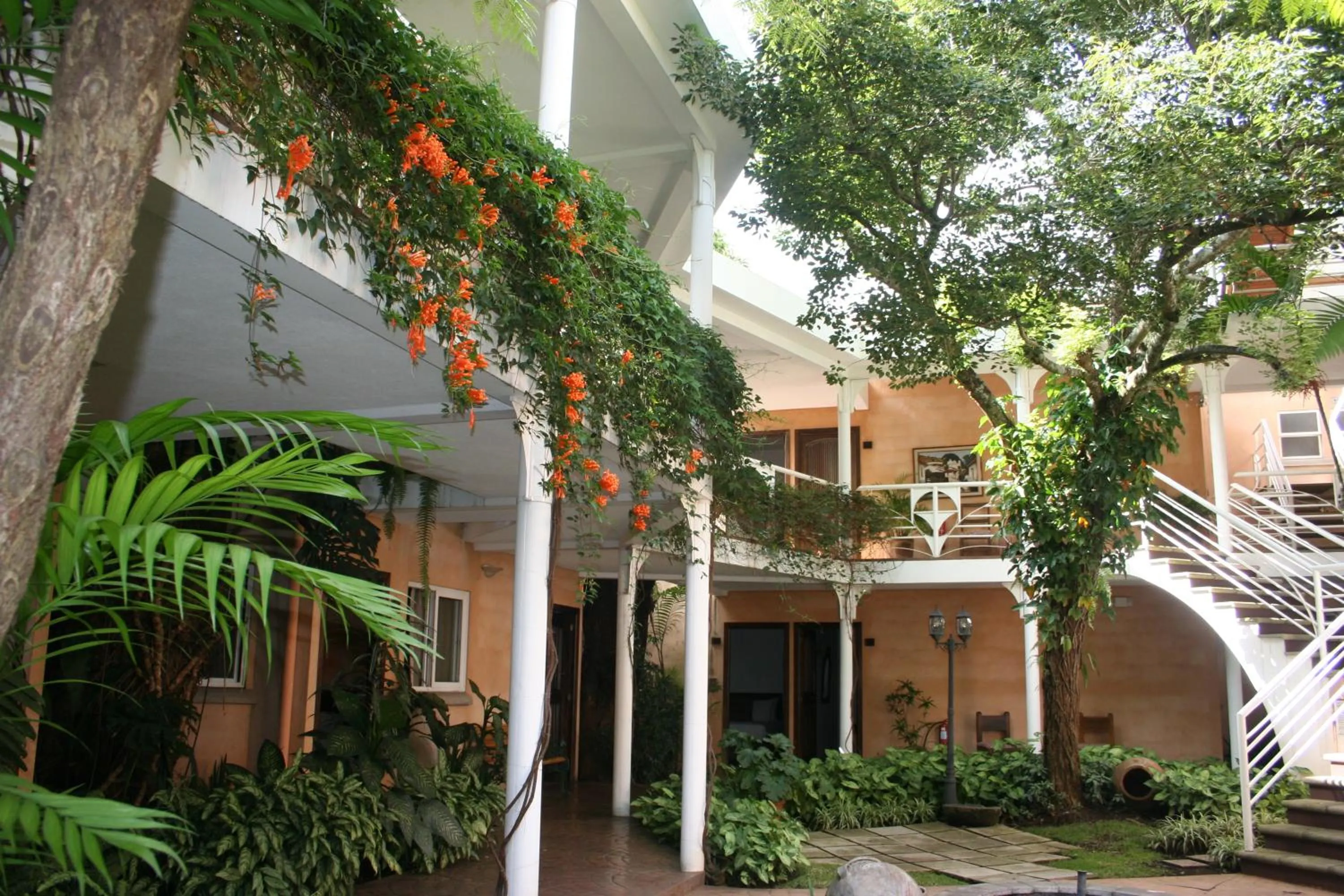 Patio in Hotel Ciudad Vieja
