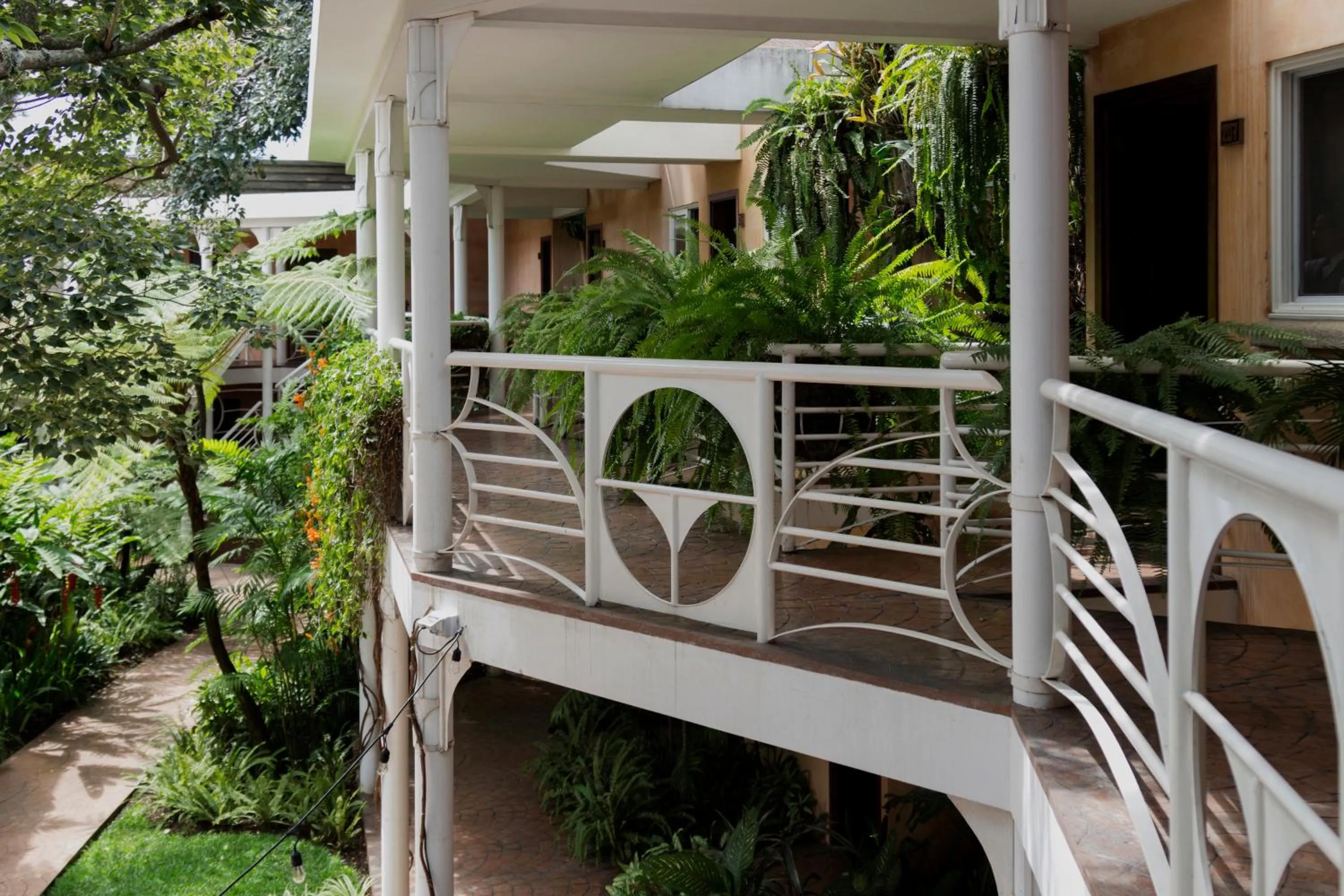 Garden view in Hotel Ciudad Vieja